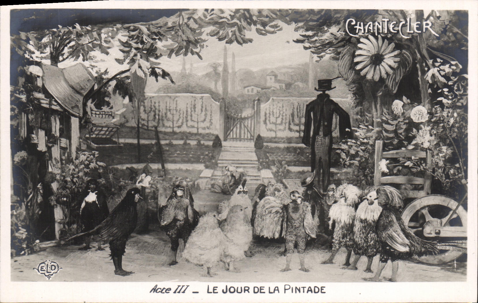 VINTAGE POSTCARD Chantecler Fantasy the day of the guinea fowl Hens