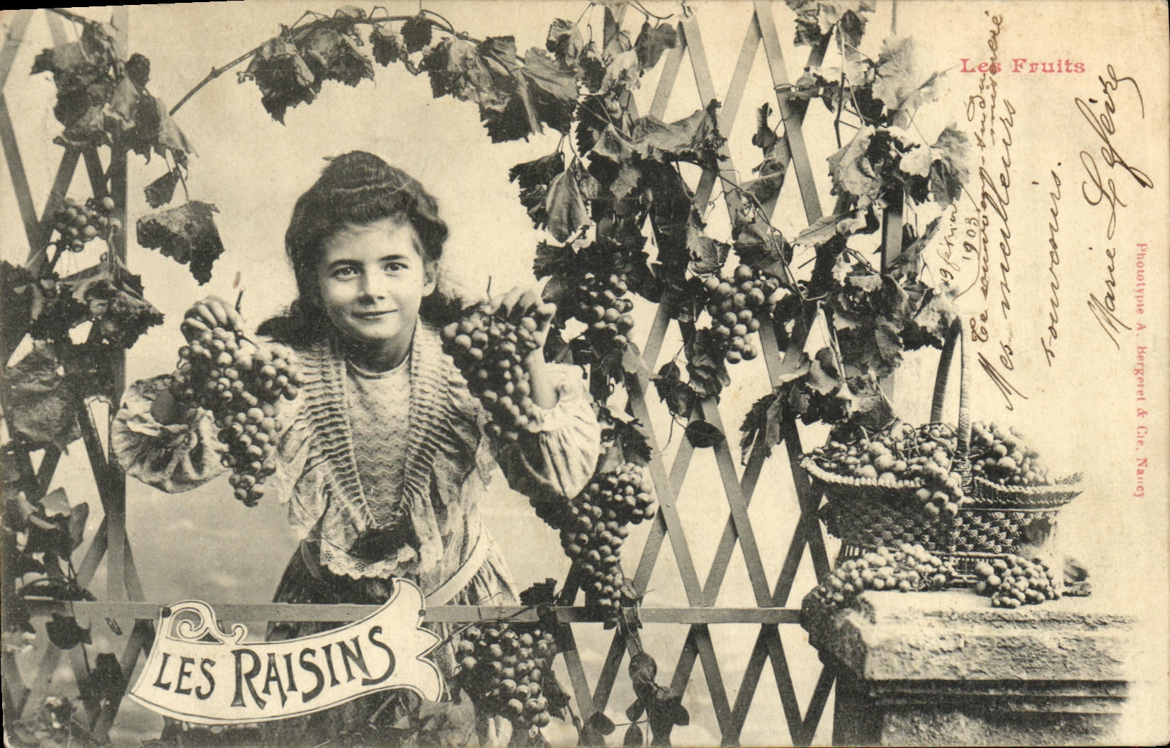 VINTAGE POSTCARD Fantasy the Fruits Children grapes