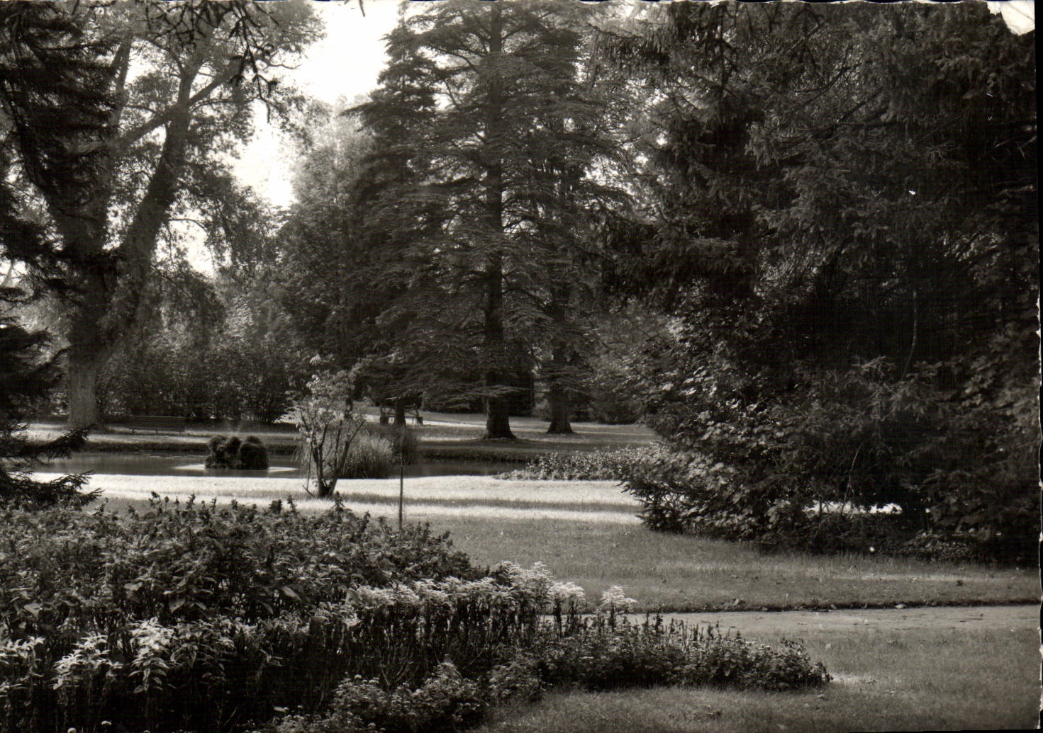 MODERN CARD Durzy Garden