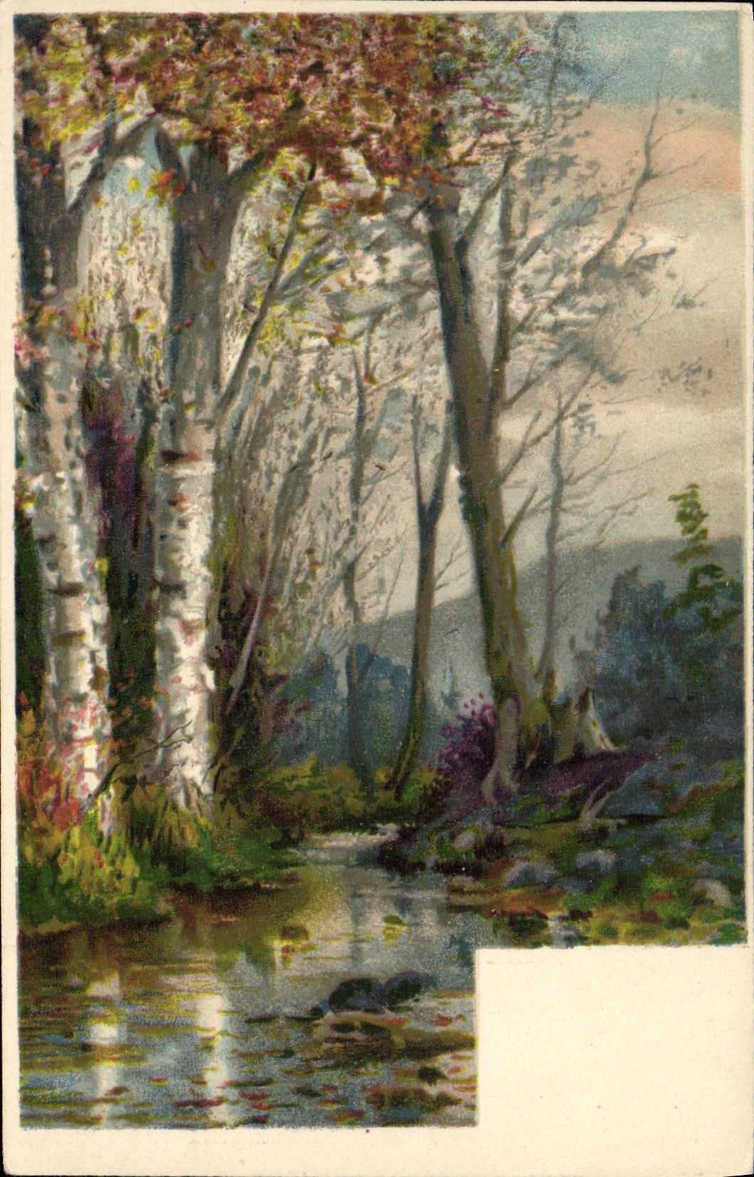 VINTAGE POSTCARD Fantasy Landscape of under wood