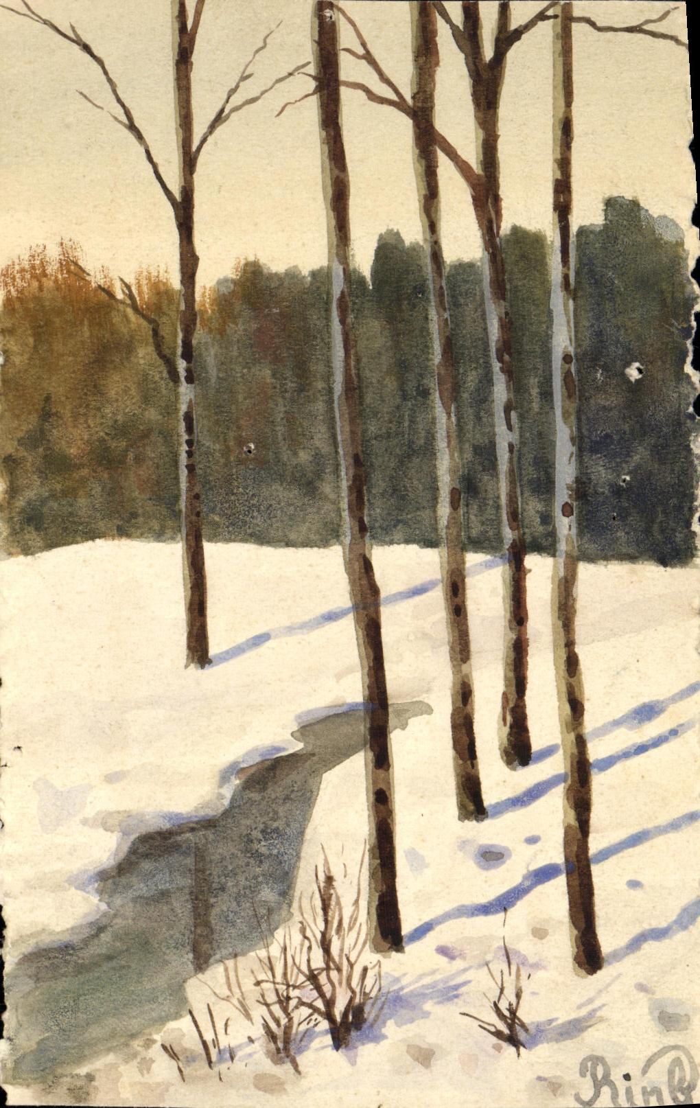 CPA Foret dessin a la main 