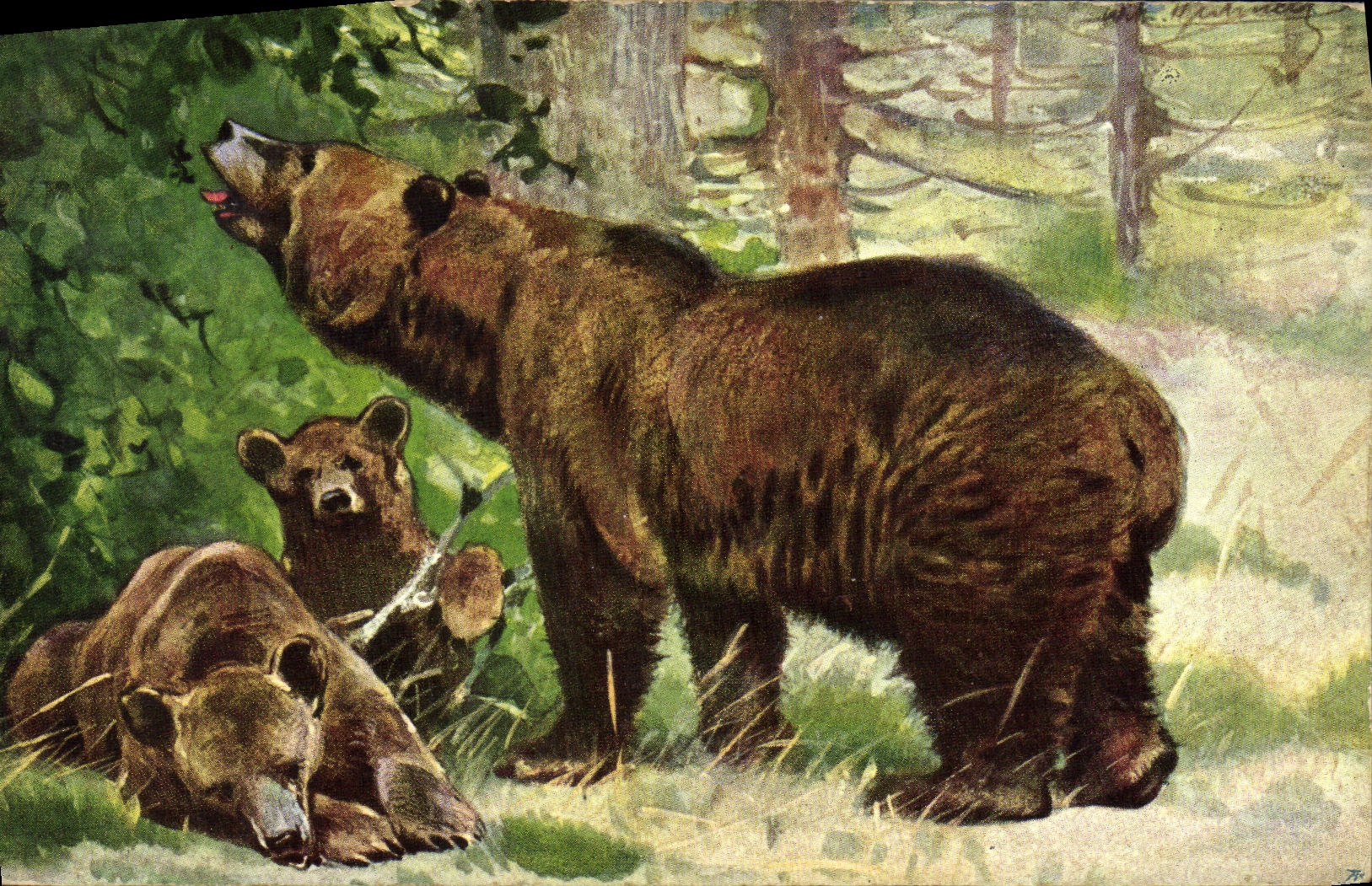 CPA Ours
