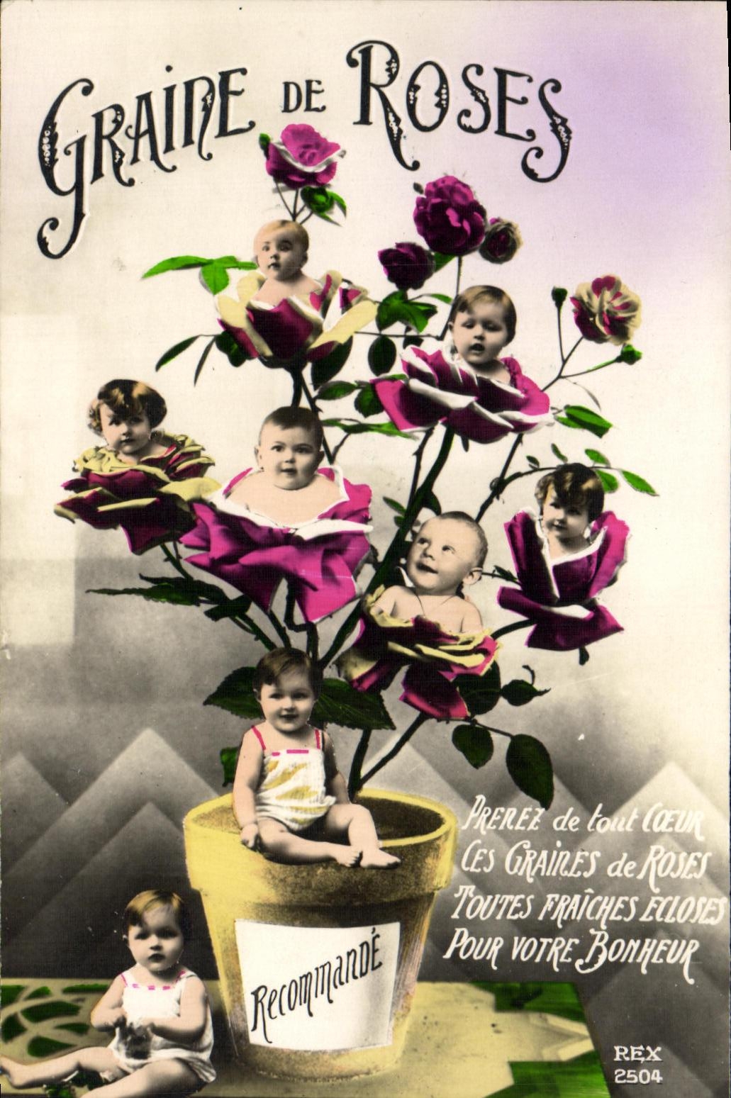 CPA Graine de roses Bebes Enfants