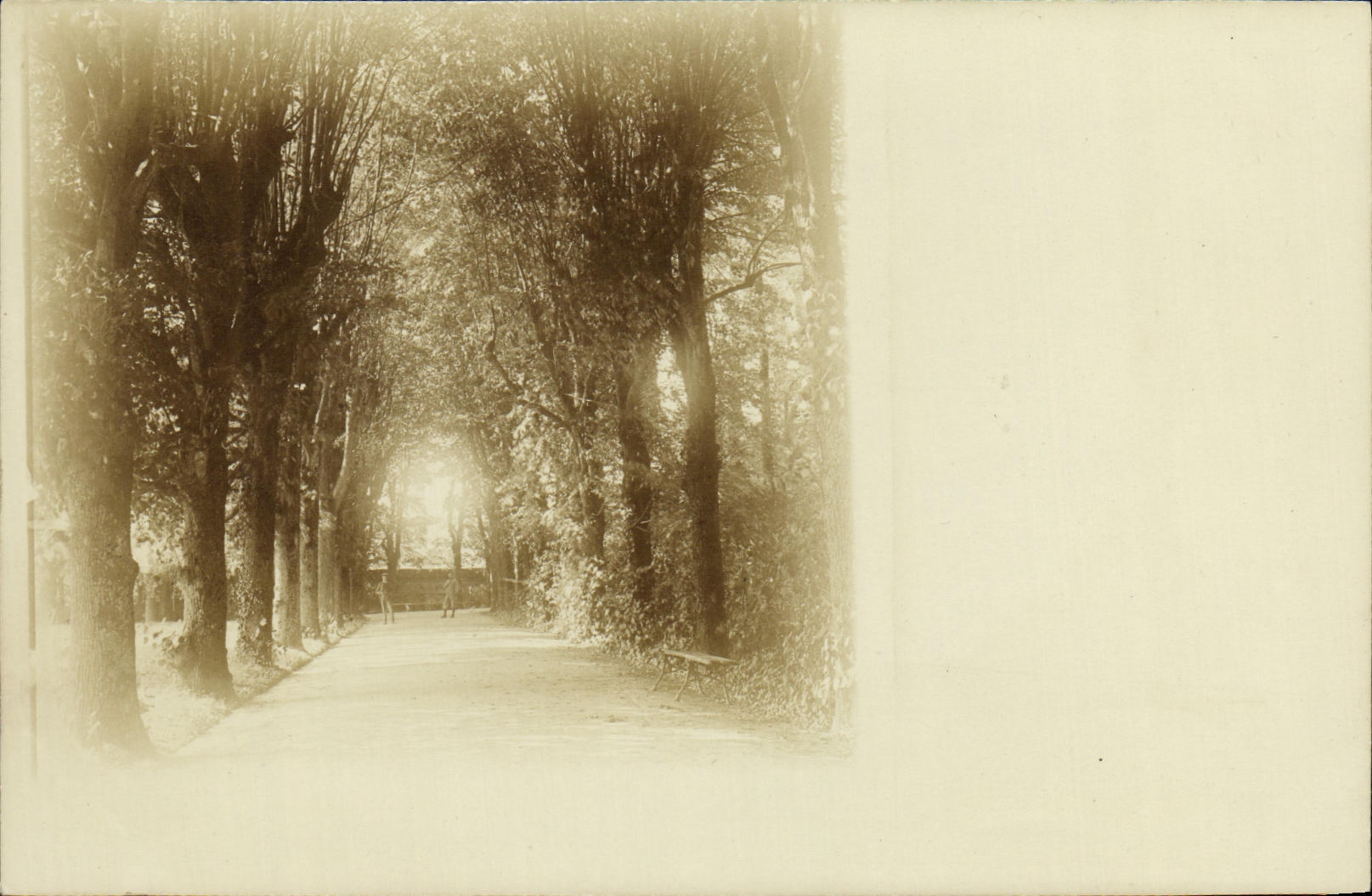 Real photo Gone in wood