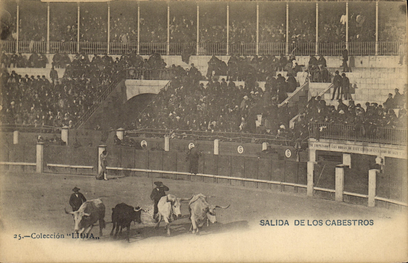 VINTAGE POSTCARD Bull Bullfight salida of Los Cabestros