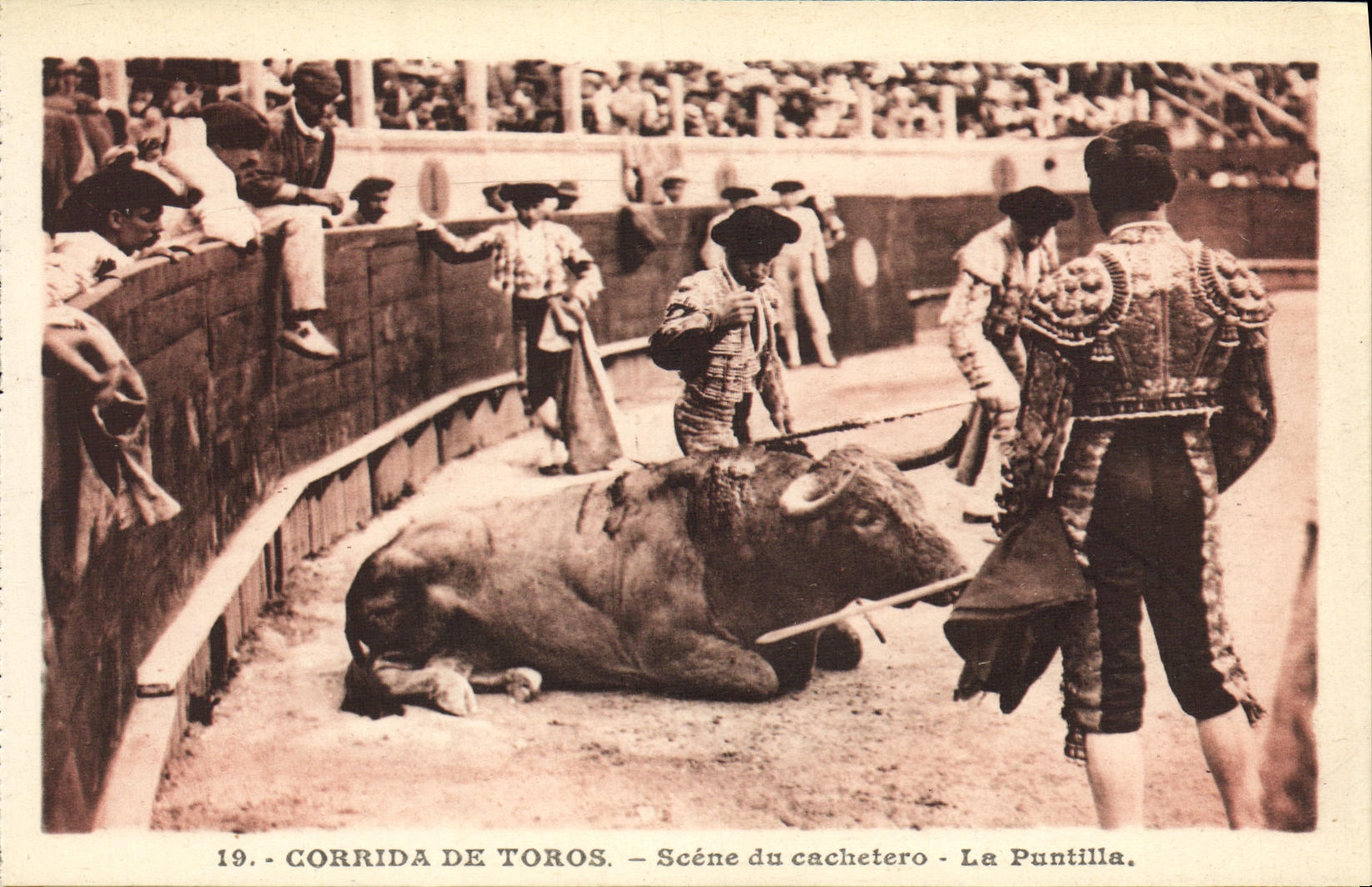CPA Sport Espagne Corrida Toro Taureau Scene du cachetero La puntilla