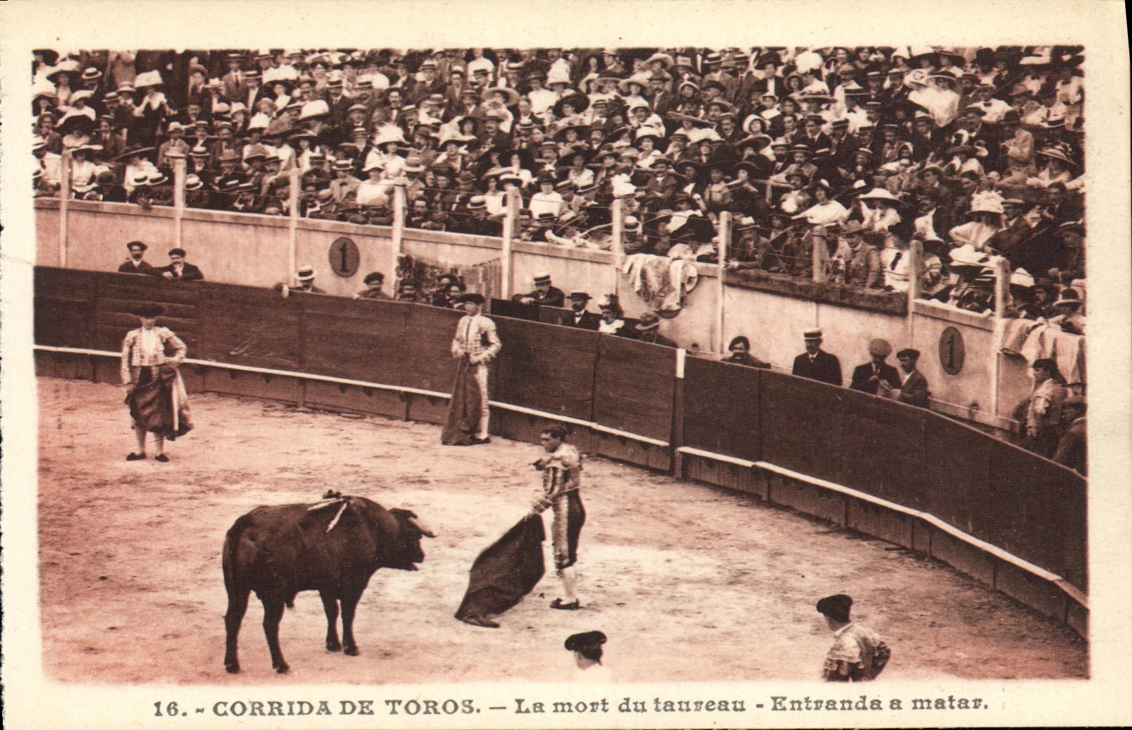 El deporte Espana Corrida Toro Taureau de la POSTAL de la VENDIMIA la muerte del toro de Entranda tiene matar