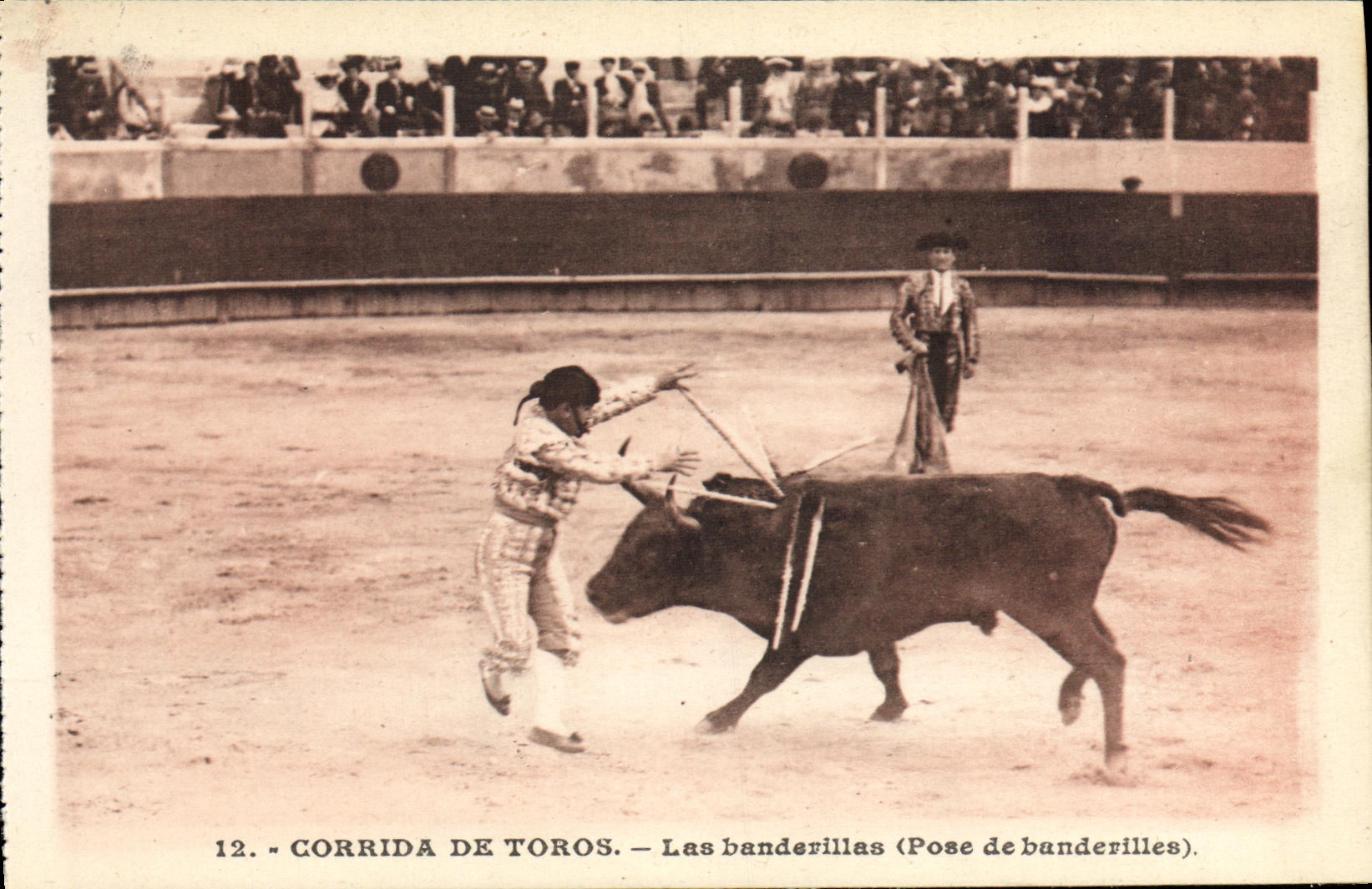 Corrida Toro Bull de Espana del deporte de la POSTAL de la VENDIMIA la instalacion de los banderillas de banderillas