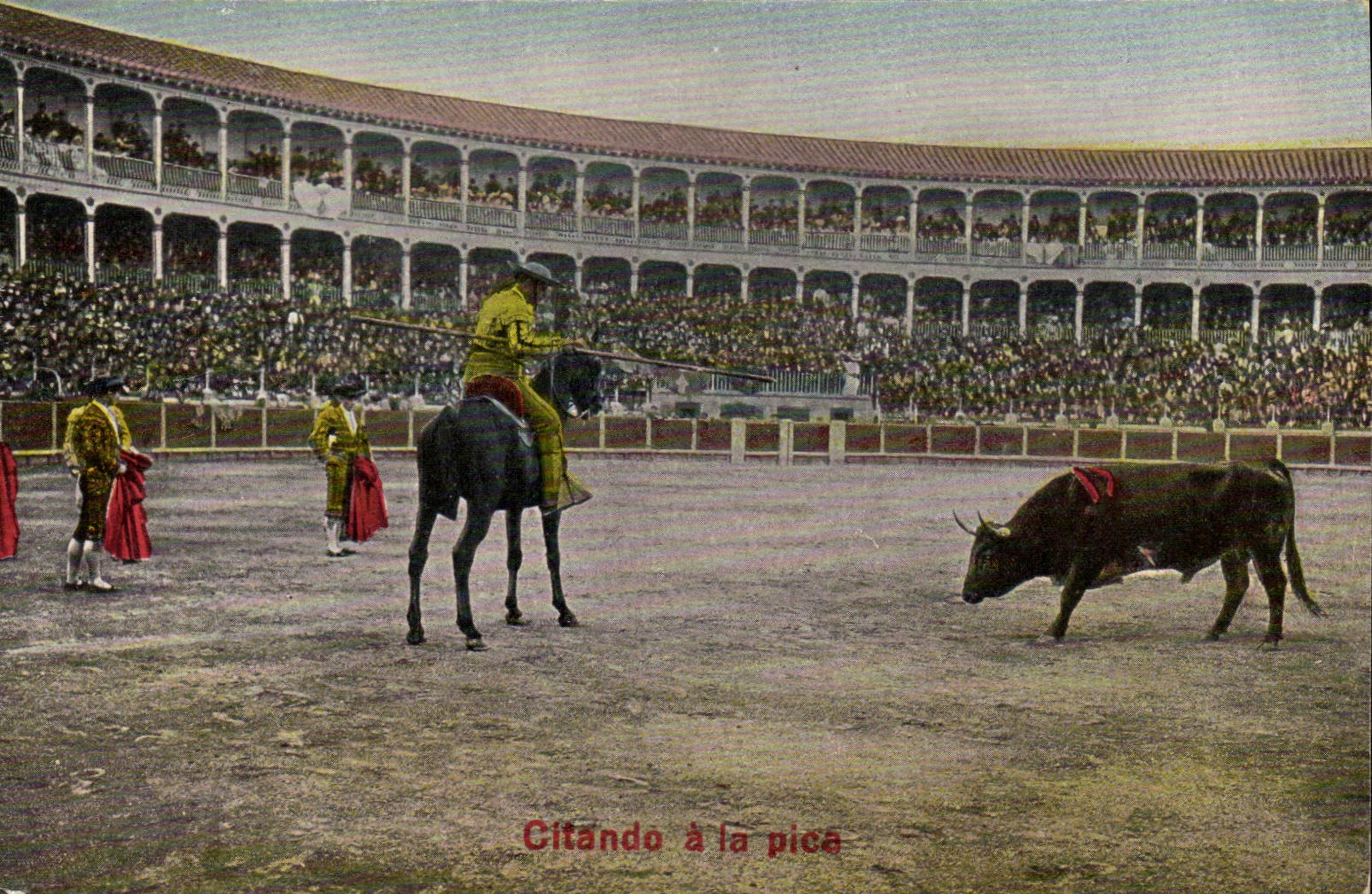 Corrida Toro Citando Bull de Espana del deporte de la POSTAL de la VENDIMIA con el pice