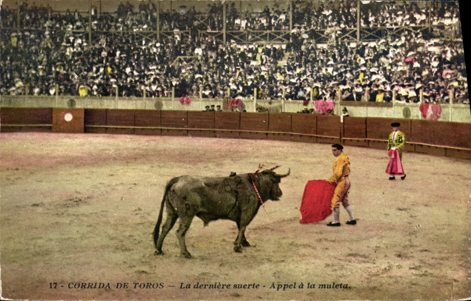 Corrida Toro Bull de Espana del deporte de la POSTAL de la VENDIMIA la llamada pasada del suerte a Muleta
