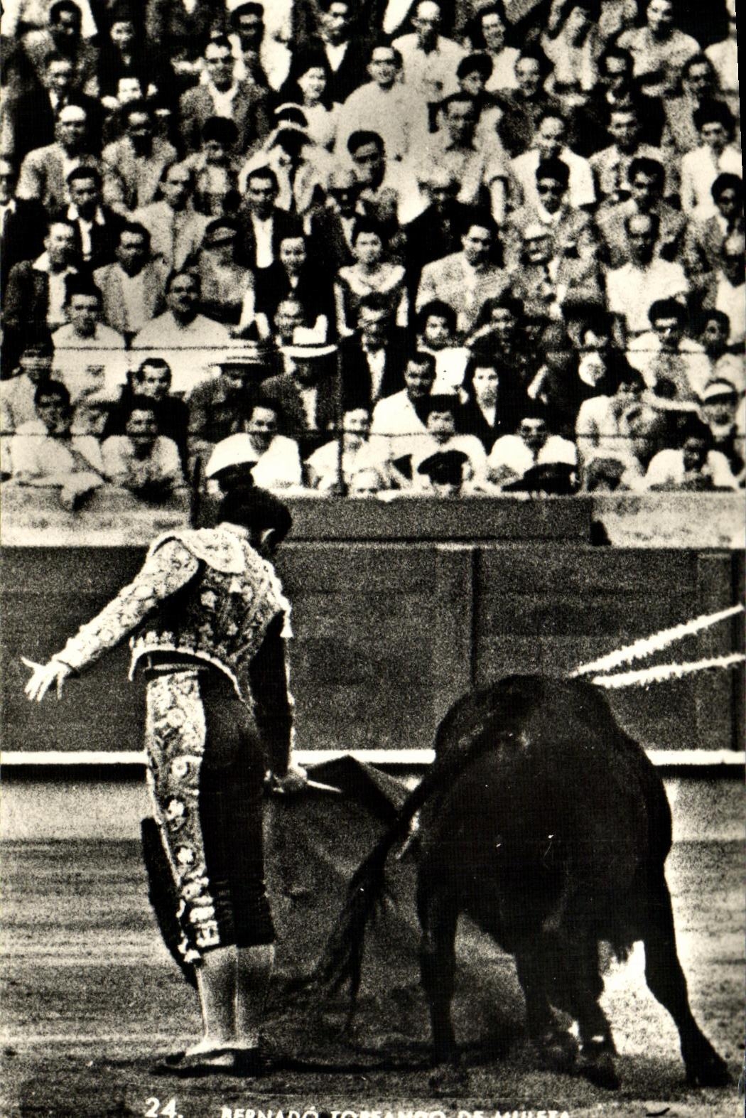 MODERN CARD Sport Spain Bullfight Toro Bull Bernado Toreando de Muleta