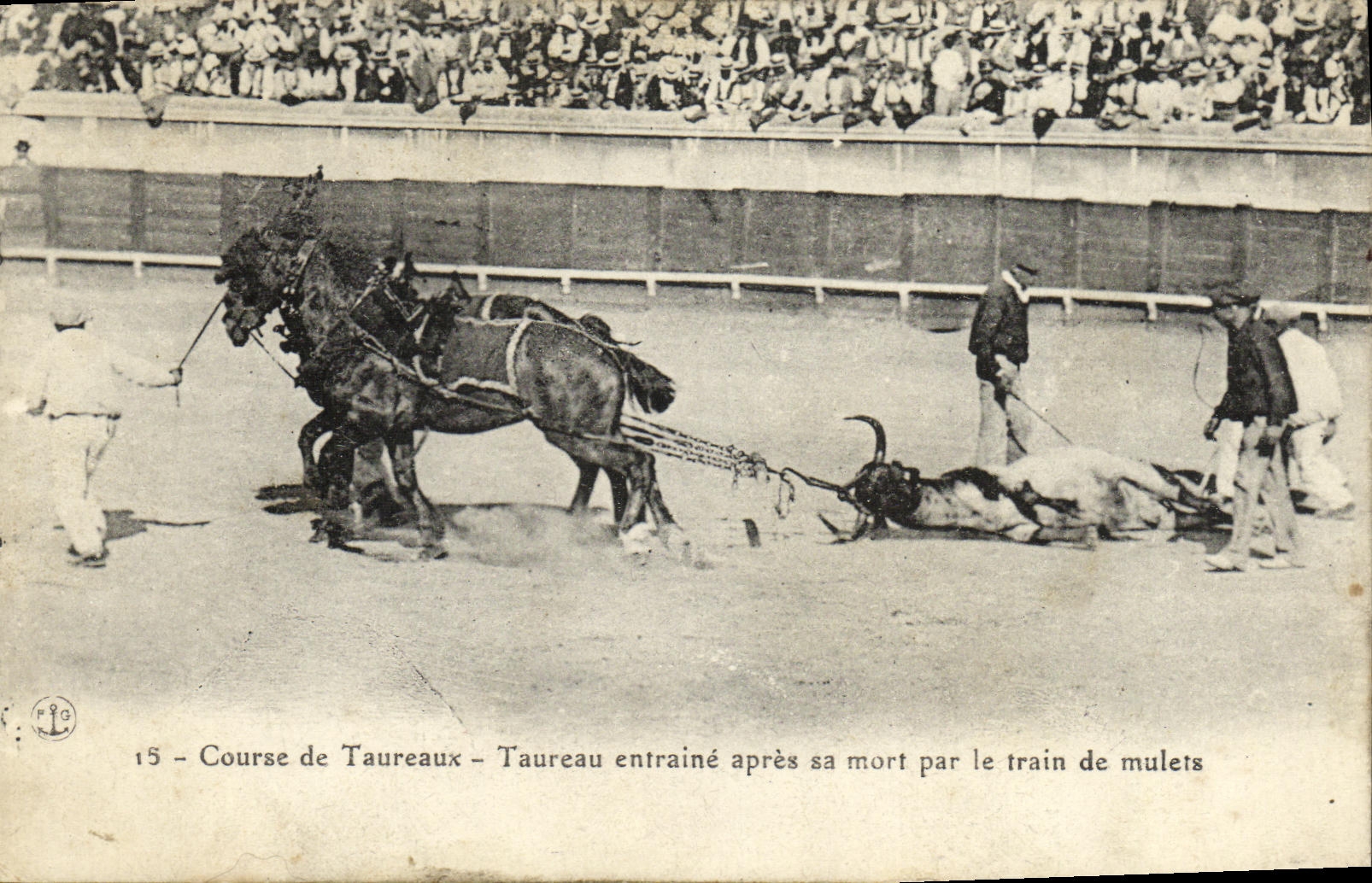 CPA Sport Espagne Corrida Toro Taureau entraine apres sa mort par le train de mulets