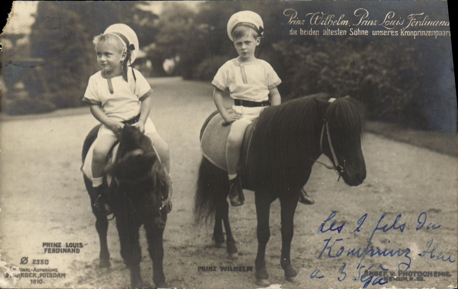 VINTAGE POSTCARD Prinz Wilhelm Prinz Louis Ferdinand Horses pony