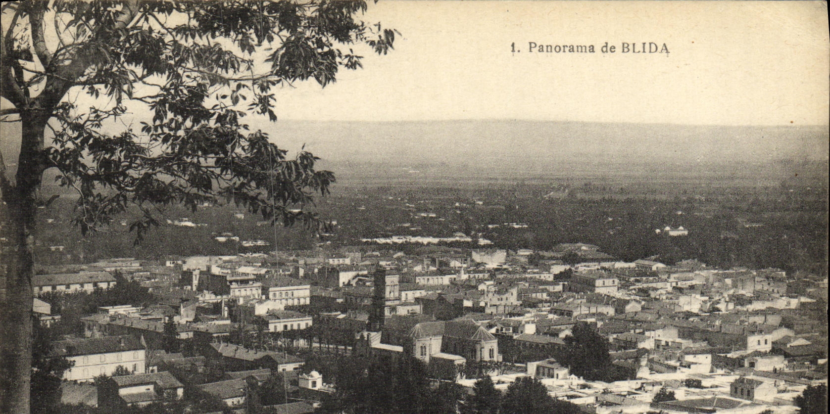 VINTAGE POSTCARD Algeria Panorama of Blida