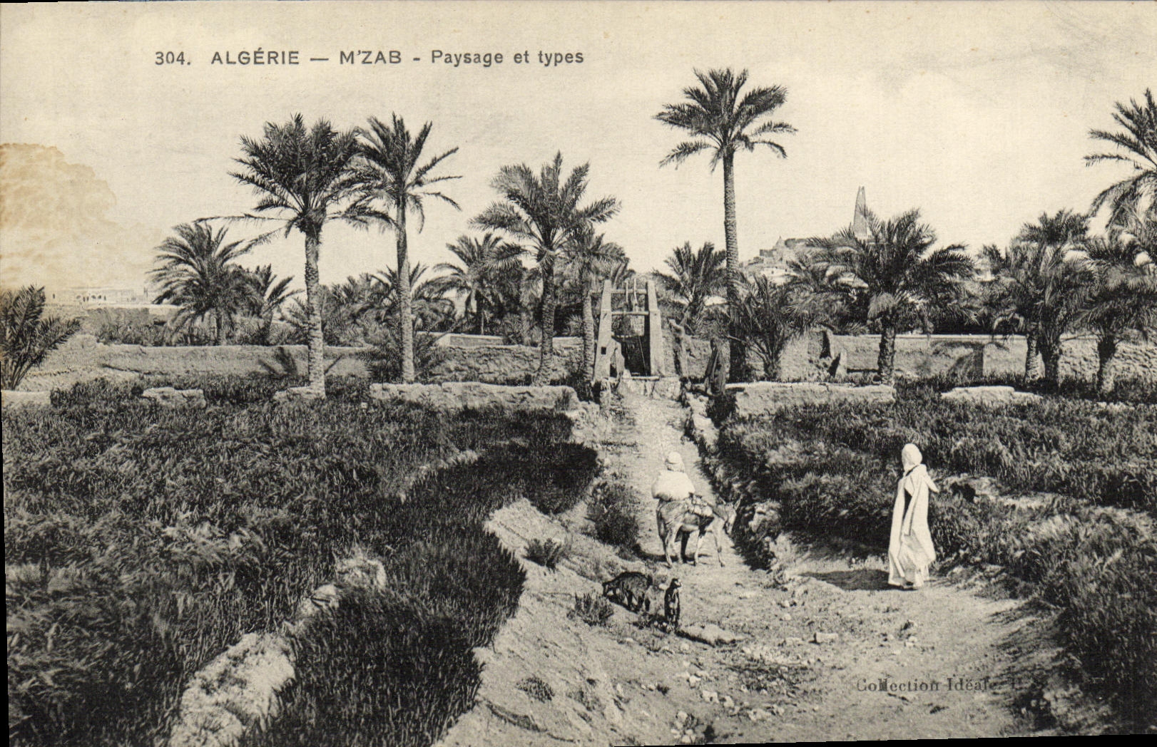 CPA Algerie M Zab Paysage et type 