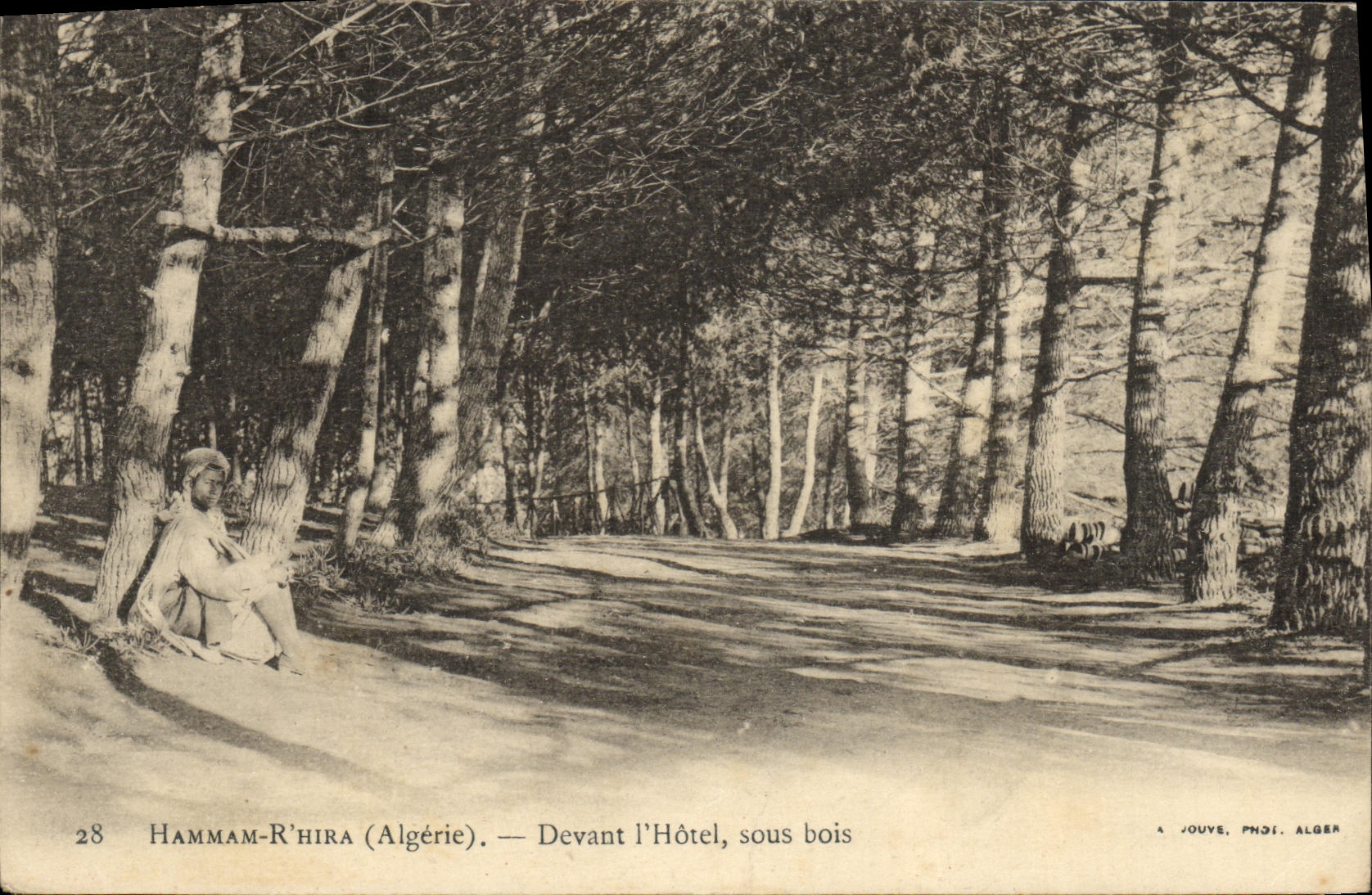 VINTAGE POSTCARD Algeria Hamman R Hira In front of L hotel under wood