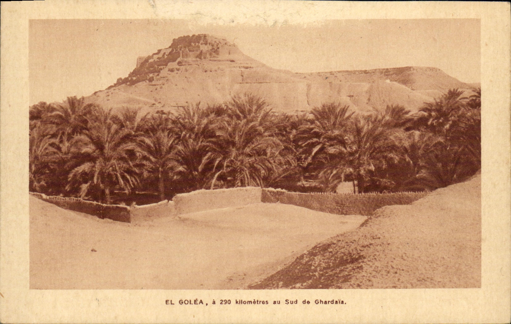 VINTAGE POSTCARD Algeria El Golea
