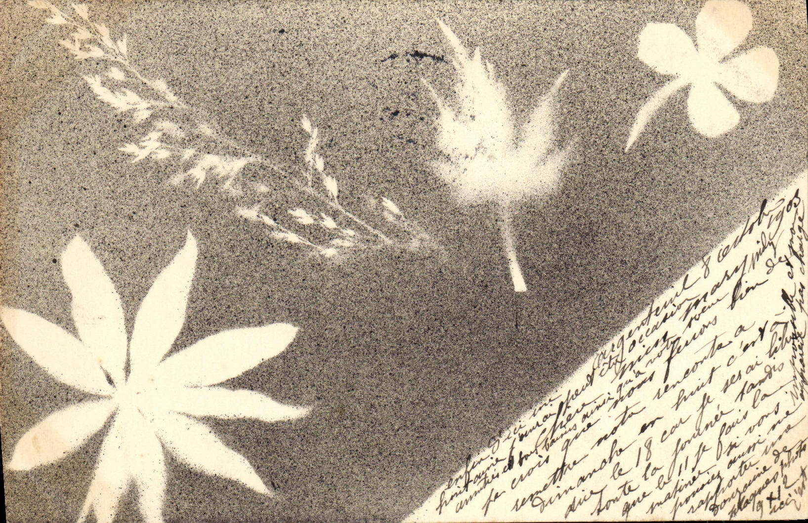 CPA Fantaisie Fleurs 