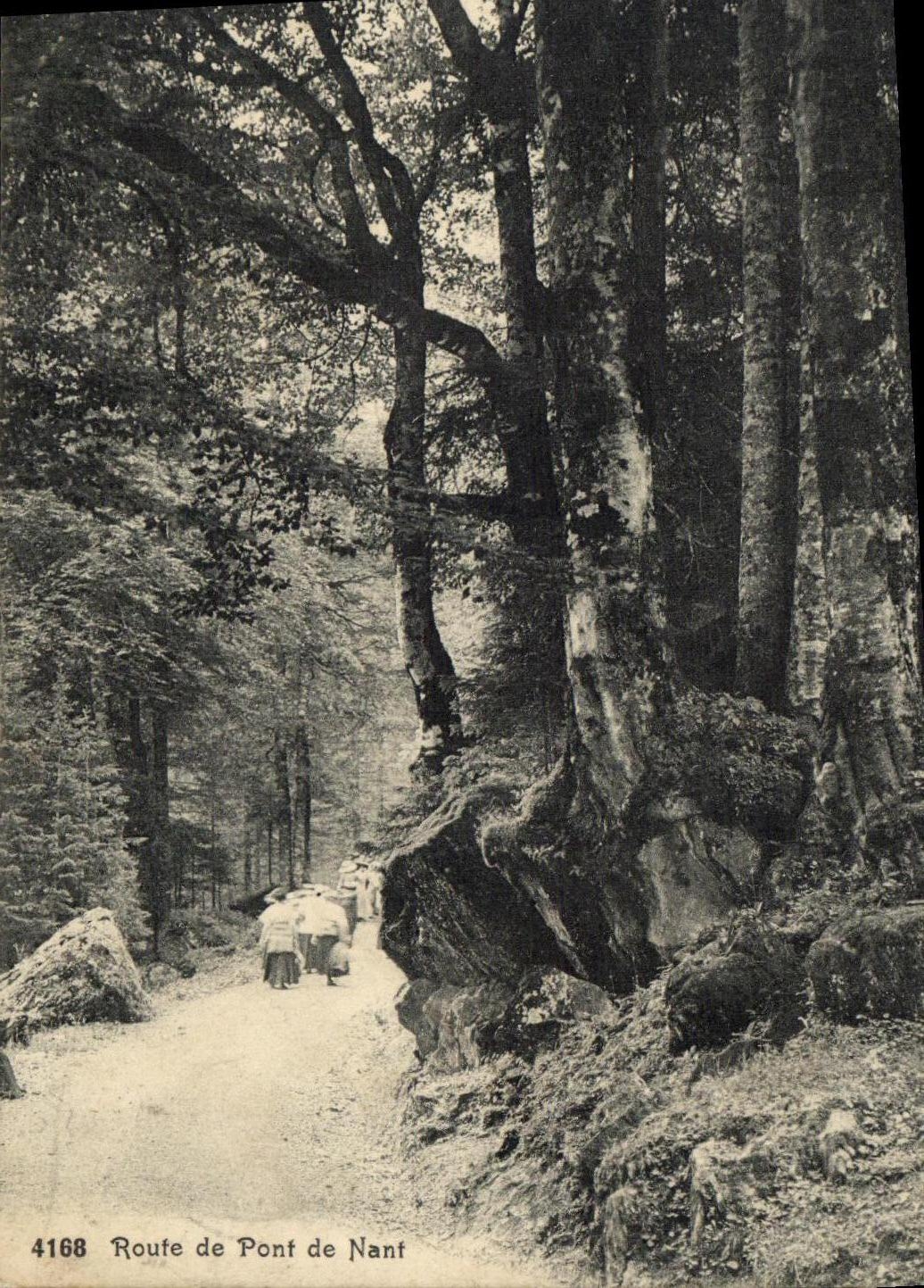 VINTAGE POSTCARD Swiss Road of Bridge of Nant