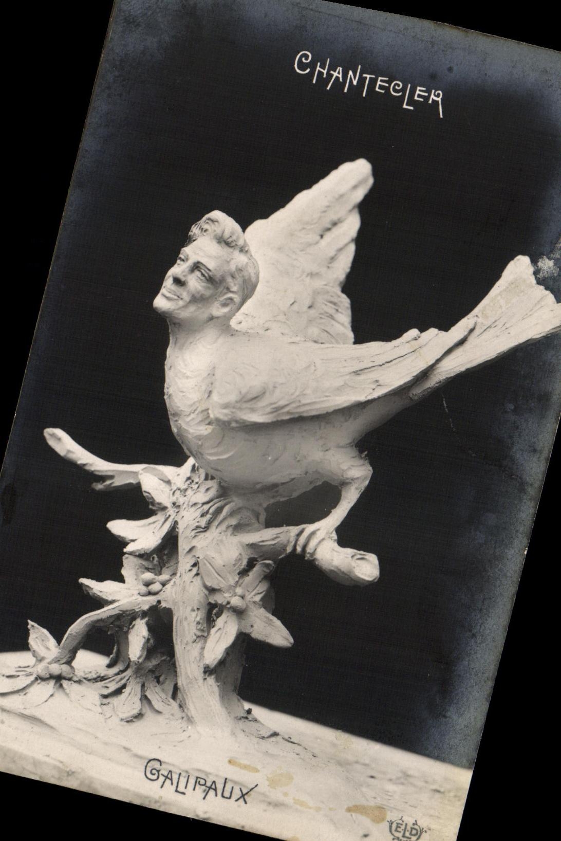 VINTAGE POSTCARD Chantecler Galipaux Bird