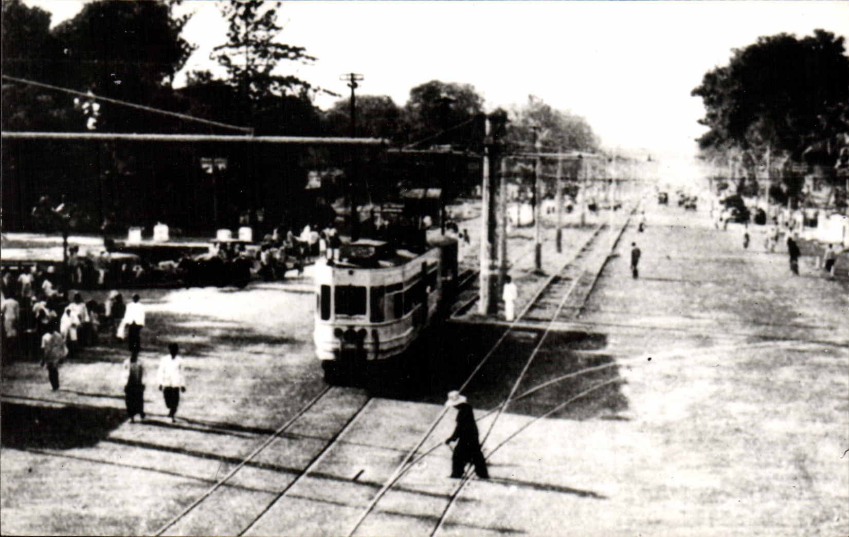 REPRO Train Tramway