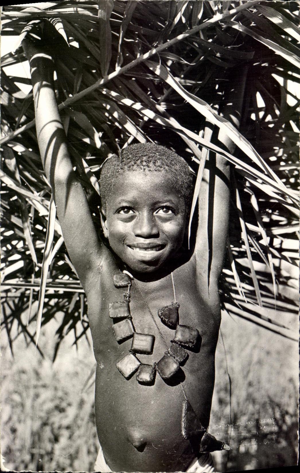 CPM Afrique noire Jeune porteur de palmes