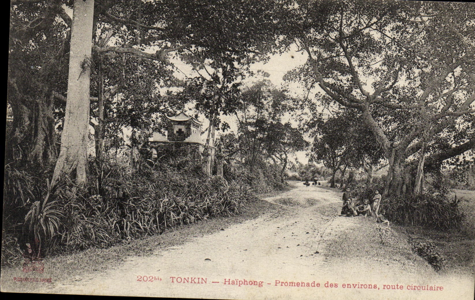 VINTAGE POSTCARD Tonkin Haiphong Walk of the circular surroundings road