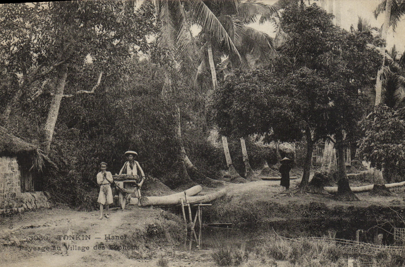 VINTAGE POSTCARD Tonkin Hanoi Landscape at the Village of the pigs