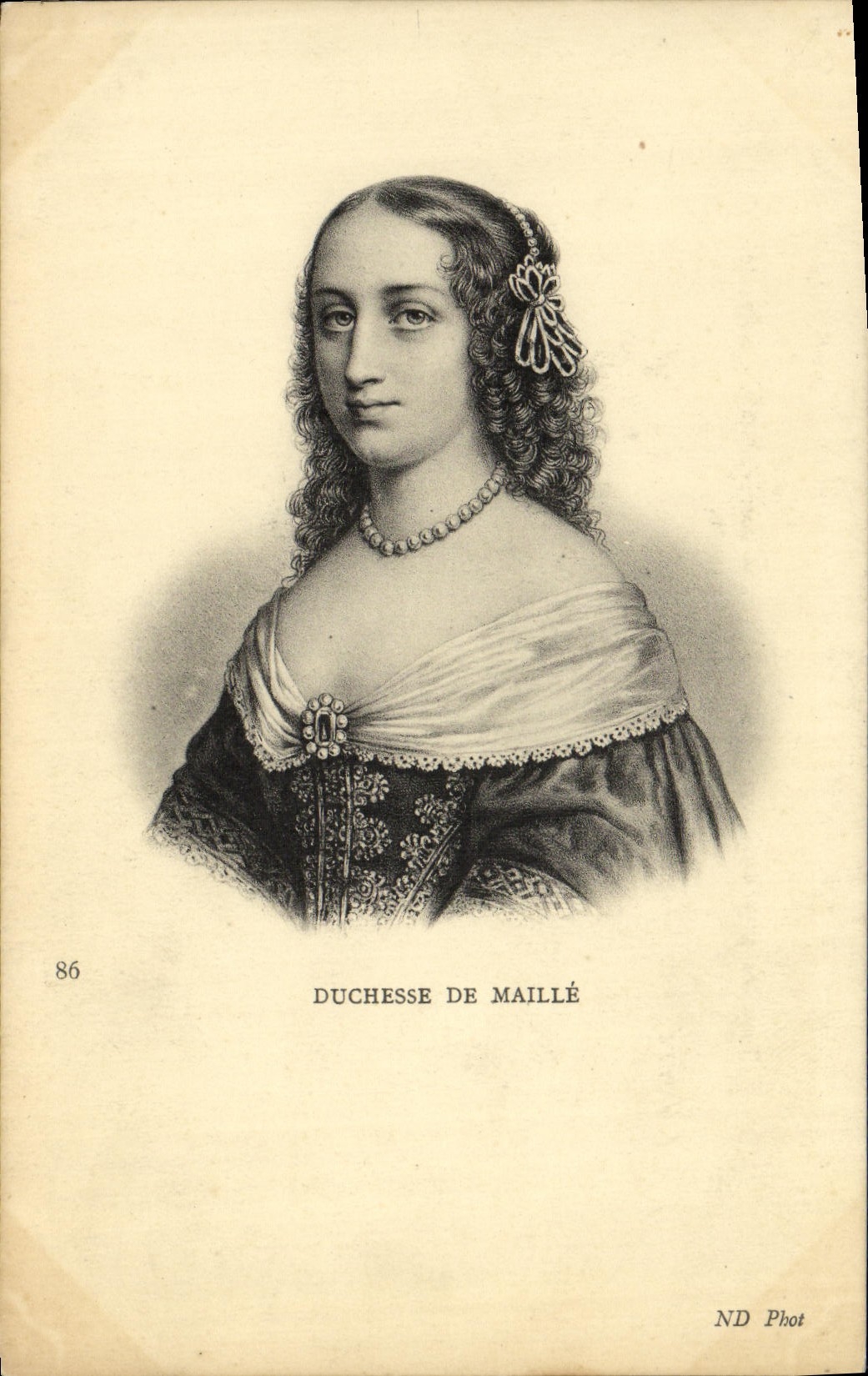 VINTAGE POSTCARD Duchess Of Mesh