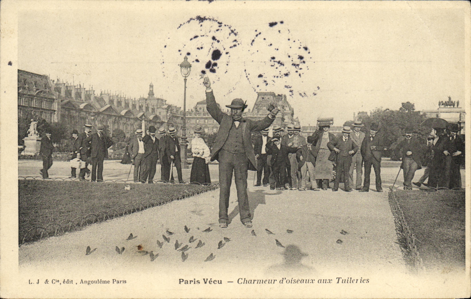 VINTAGE POSTCARD Paris Lived Charmer of birds to Tileries TOP