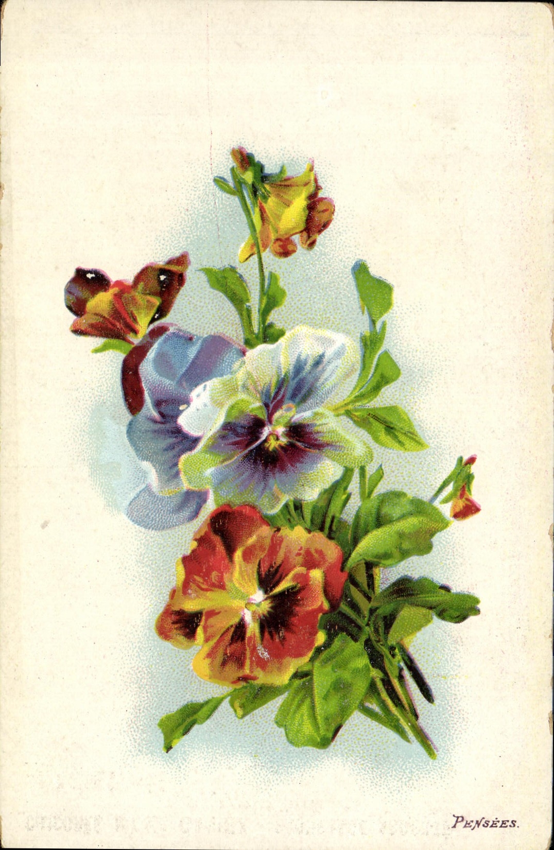 CPA Fantaisie Fleurs Pensees