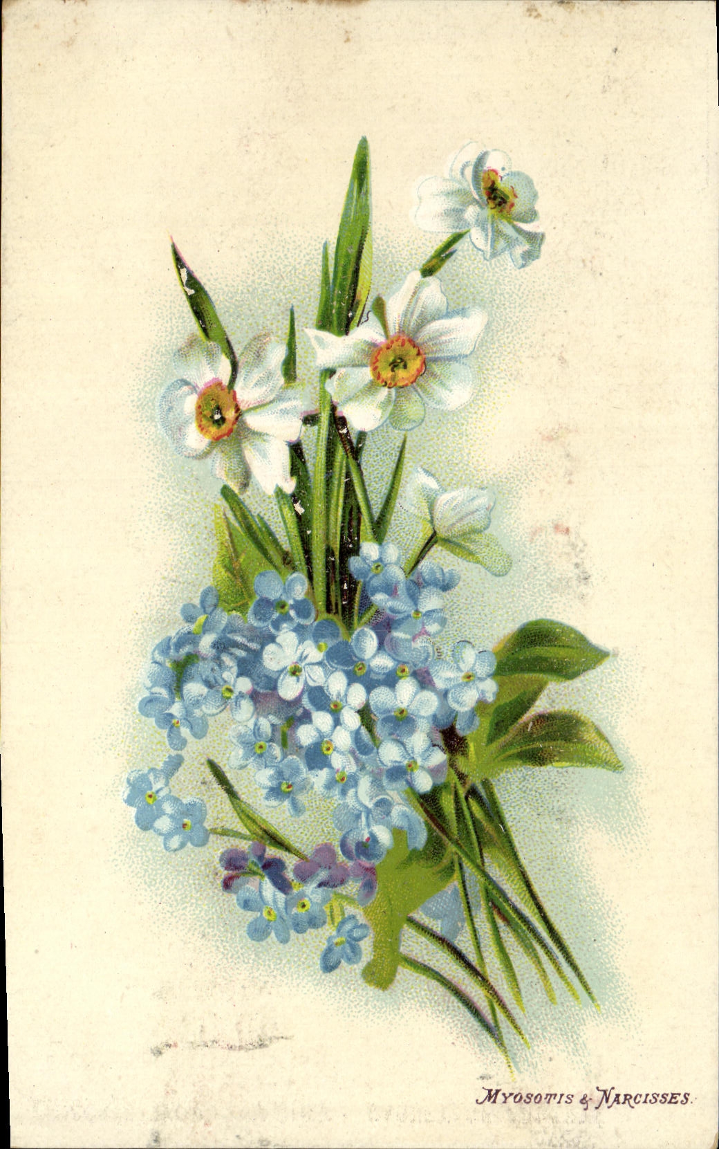 VINTAGE POSTCARD Fantasy Flowers Forget-me-not & Narcisses