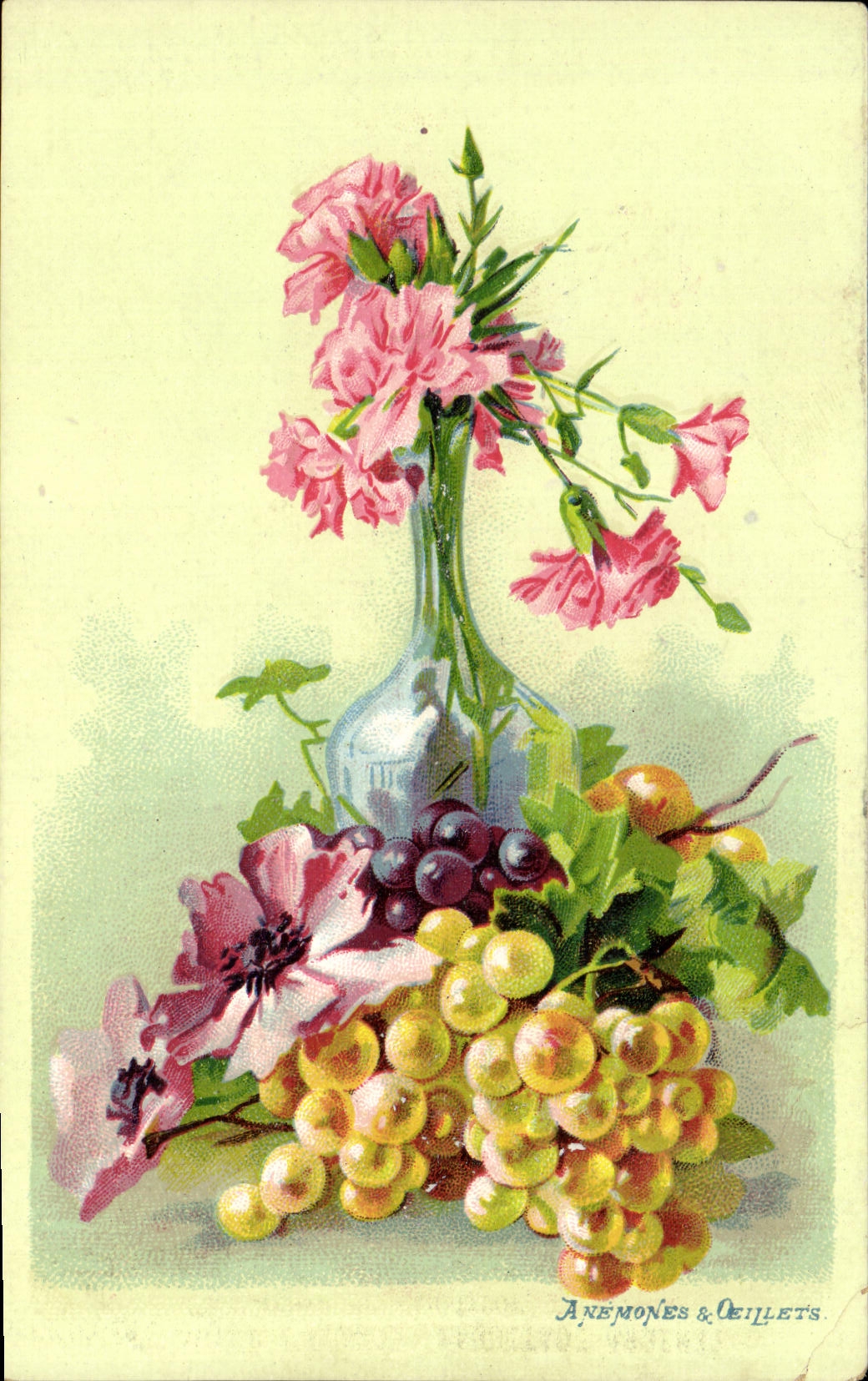 VINTAGE POSTCARD Fantasy Flowers Anemones and eyelets