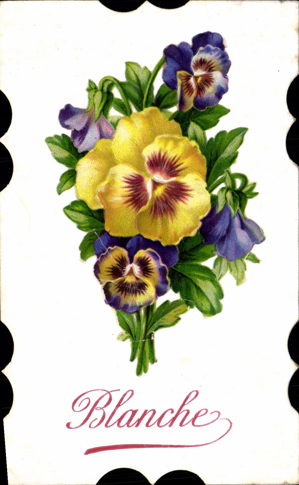 VINTAGE POSTCARD White Fantasy Flowers