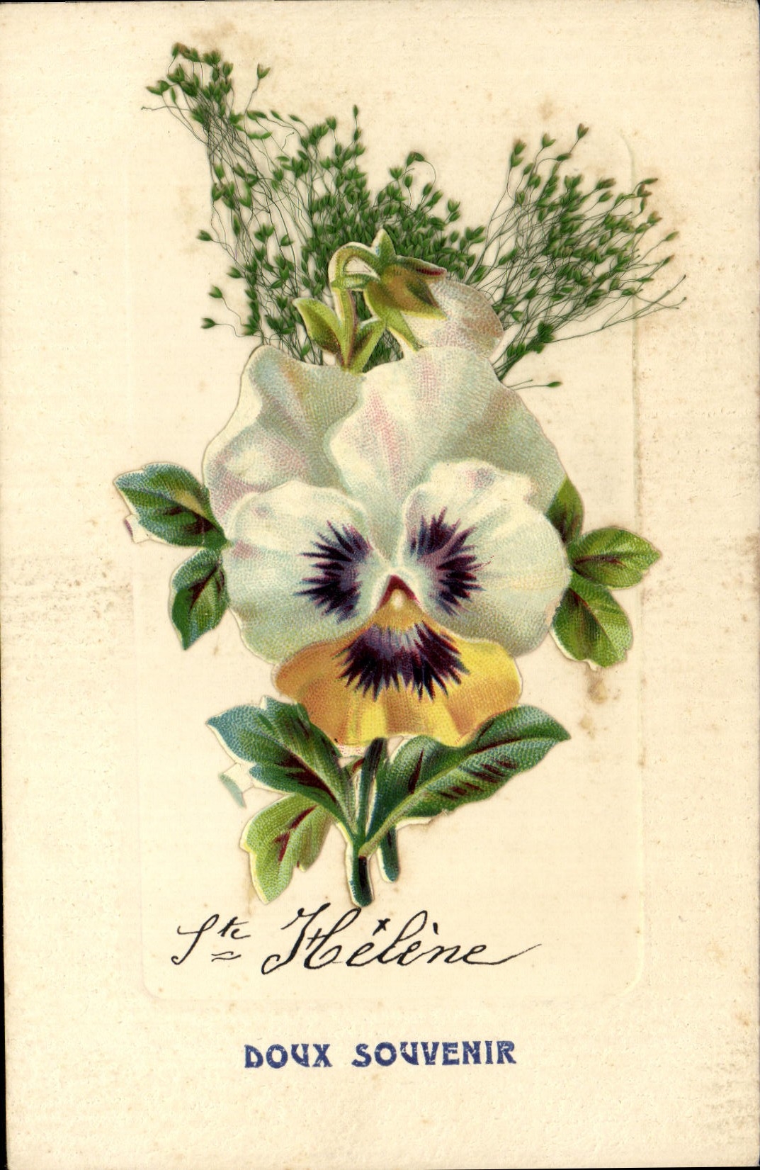 CPA Fantaisie Fleurs 