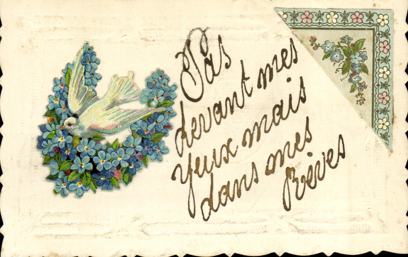 CPA Fantaisie Fleurs Colombe