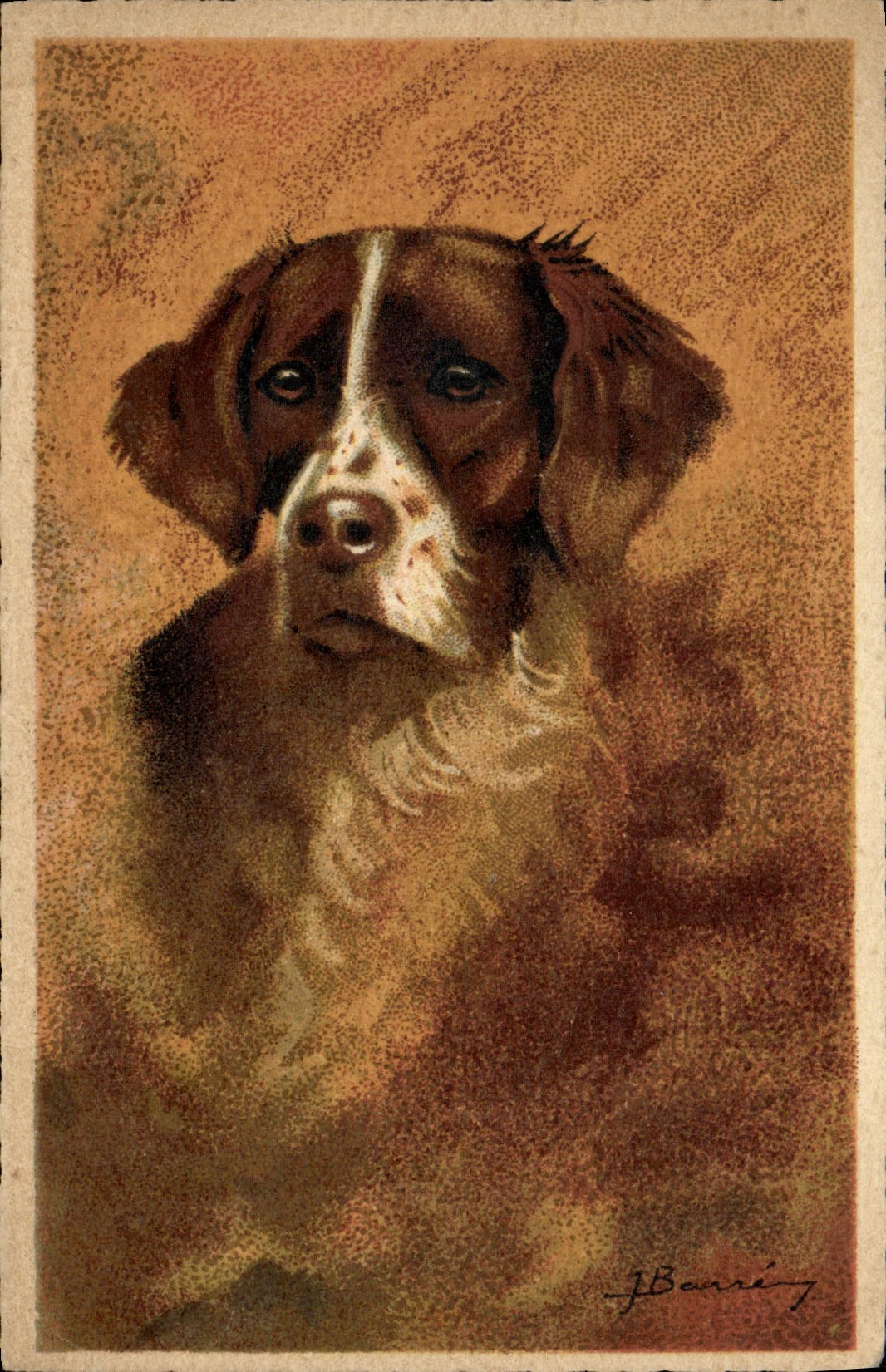 CPA Chien Epagneul