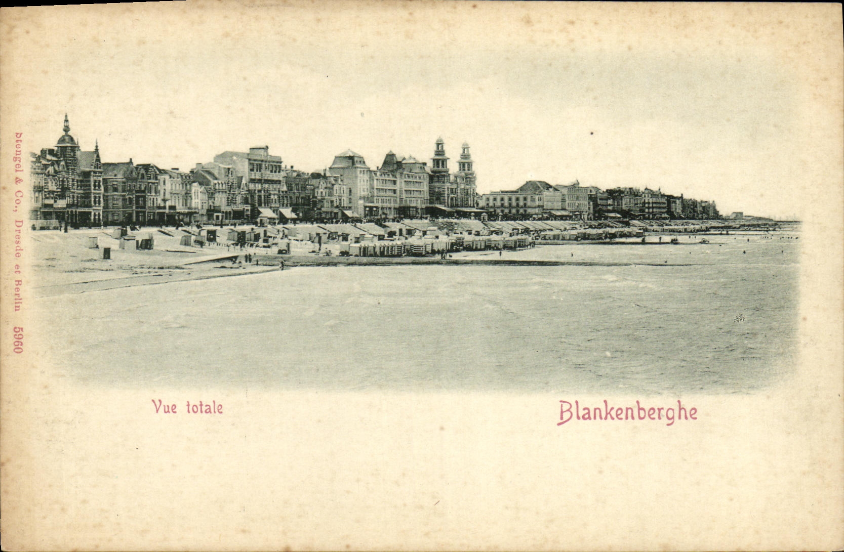 VINTAGE POSTCARD Blankenberghe Seen total