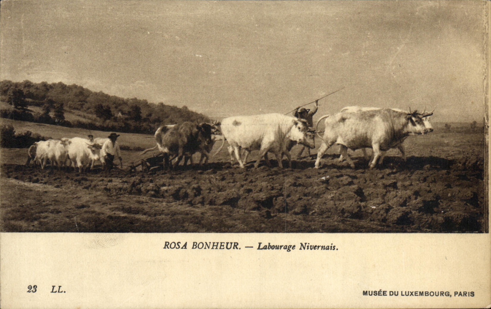 VINTAGE POSTCARD Rosa Bonheur Labourga eNivernais Musee of Luxembourg Boeufs