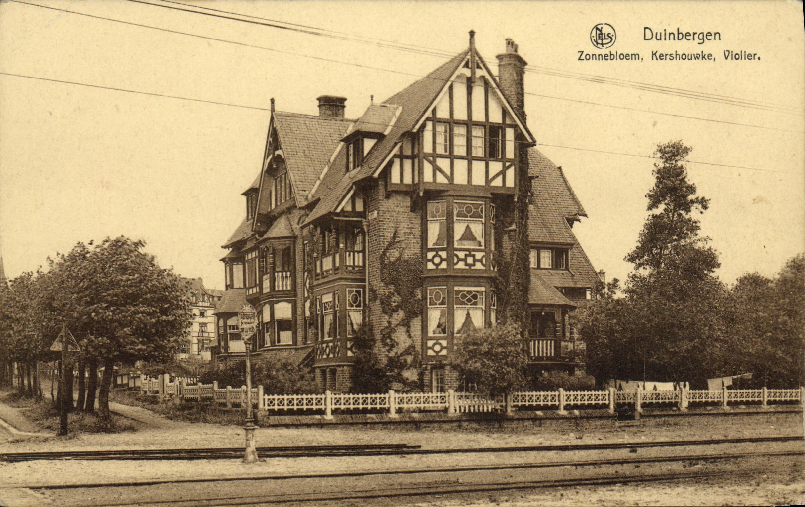 VINTAGE POSTCARD Duinbergen Zonnebleoem Kershouwke To violate