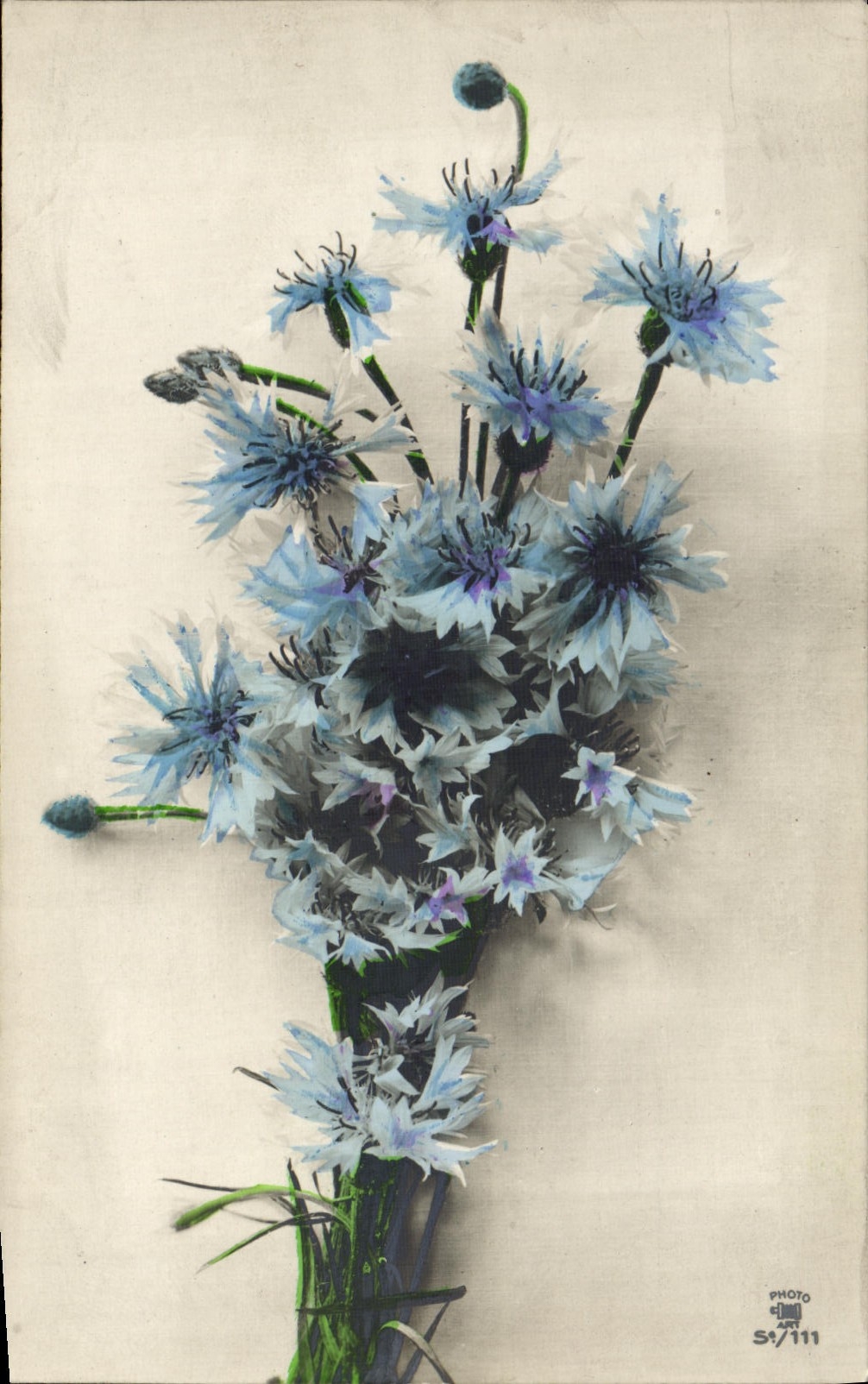 CPA Fantaisie Fleurs 