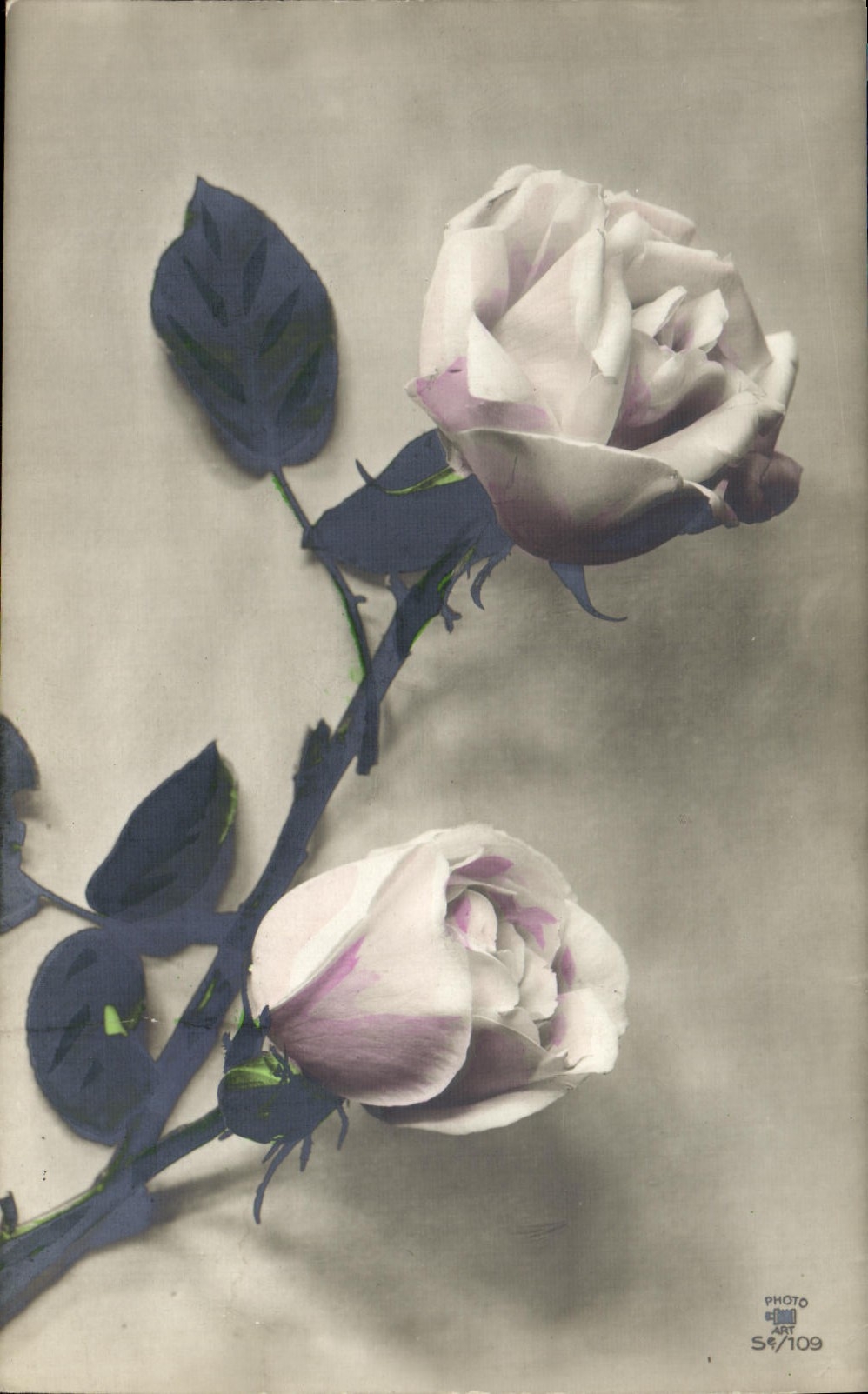 CPA Fantaisie Fleurs Roses