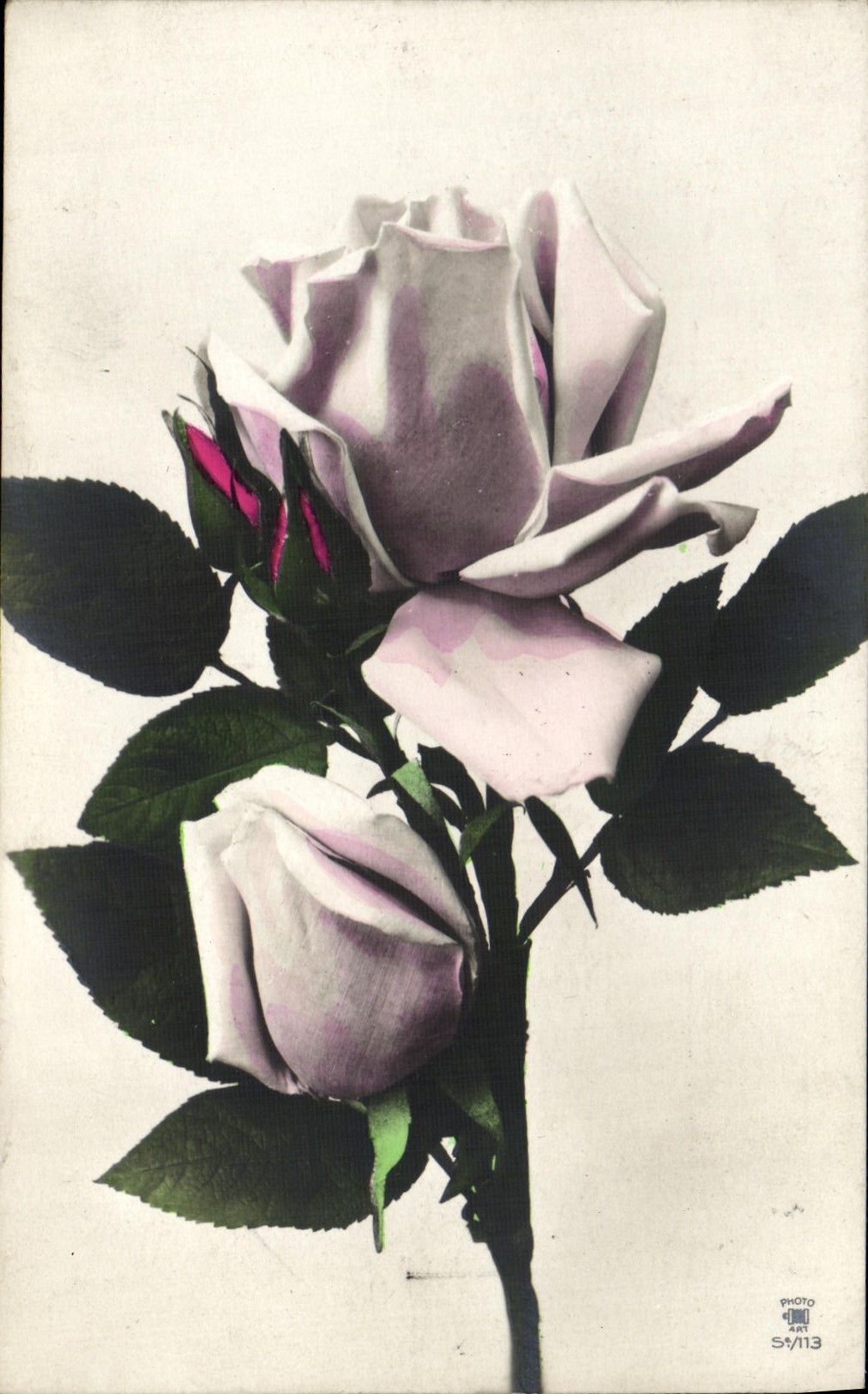 CPA Fantaisie Fleurs Roses