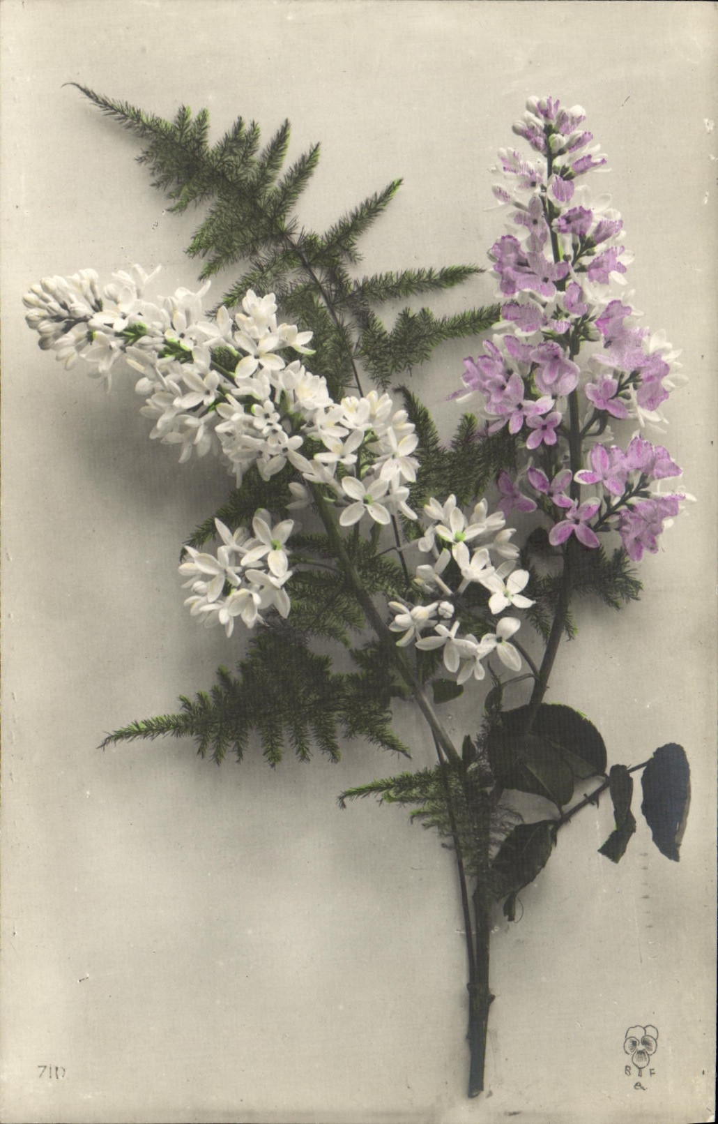 CPA Fantaisie Fleurs 