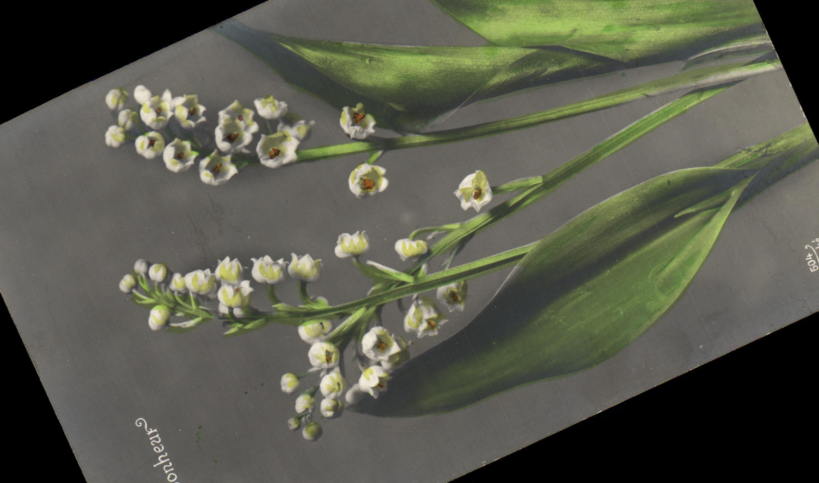 CPA Fantaisie Fleurs Muguet