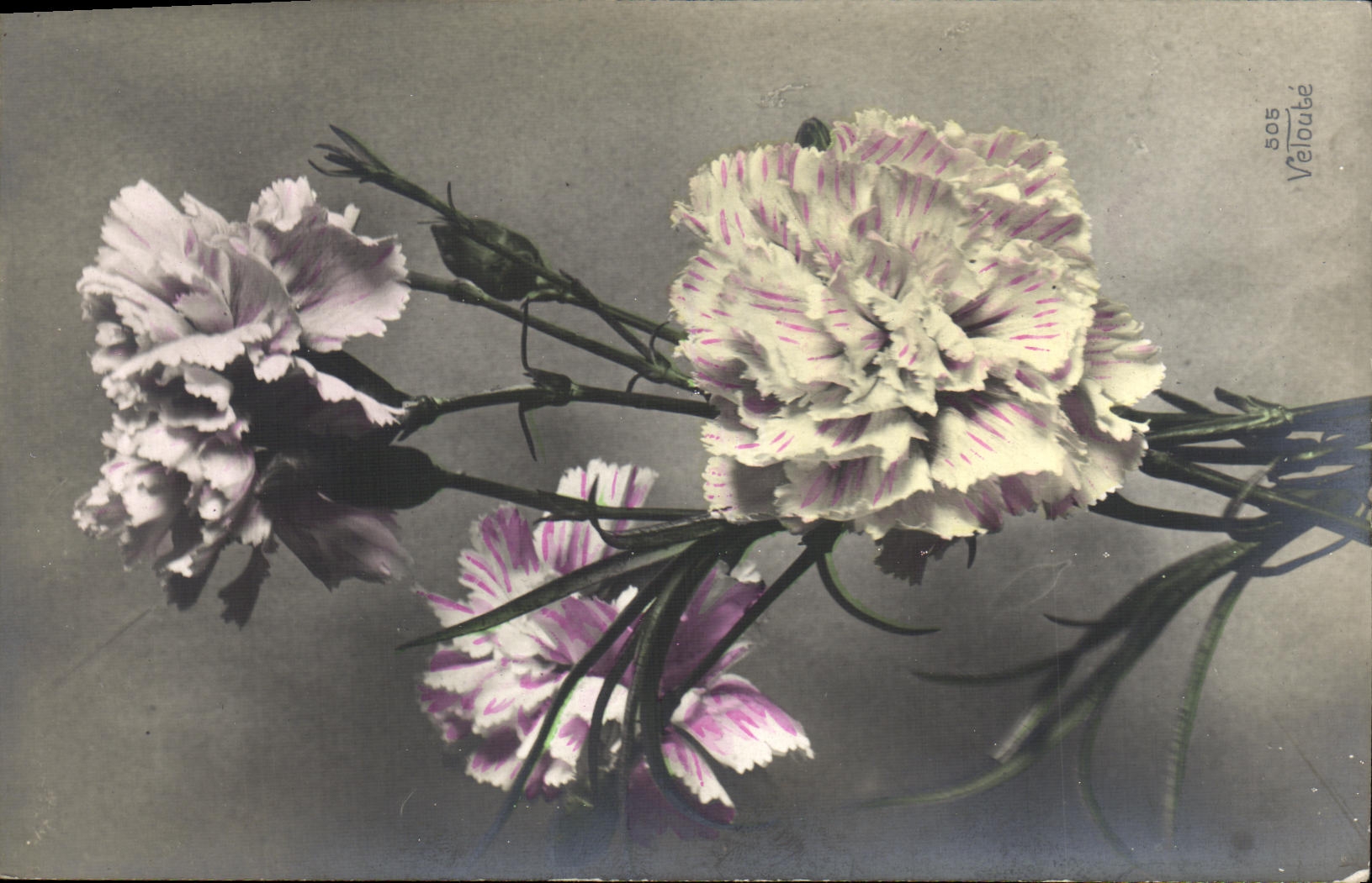 CPA Fantaisie Fleurs 