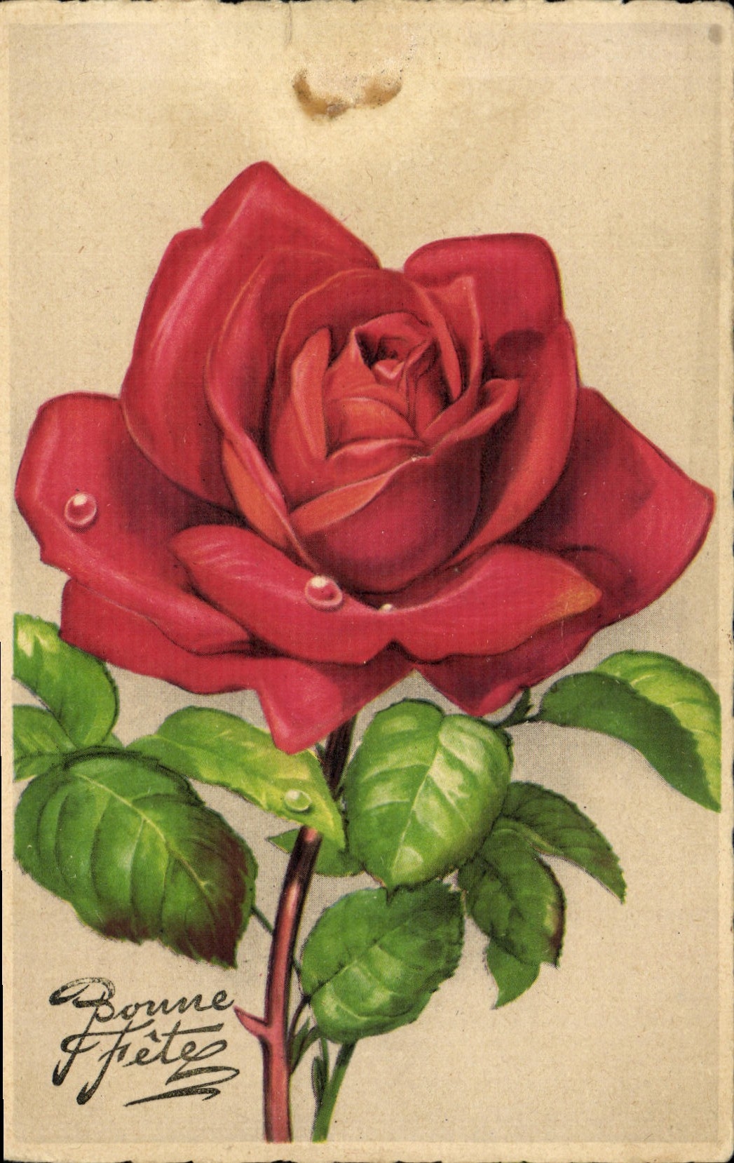 CPA Fantaisie Fleurs Rose