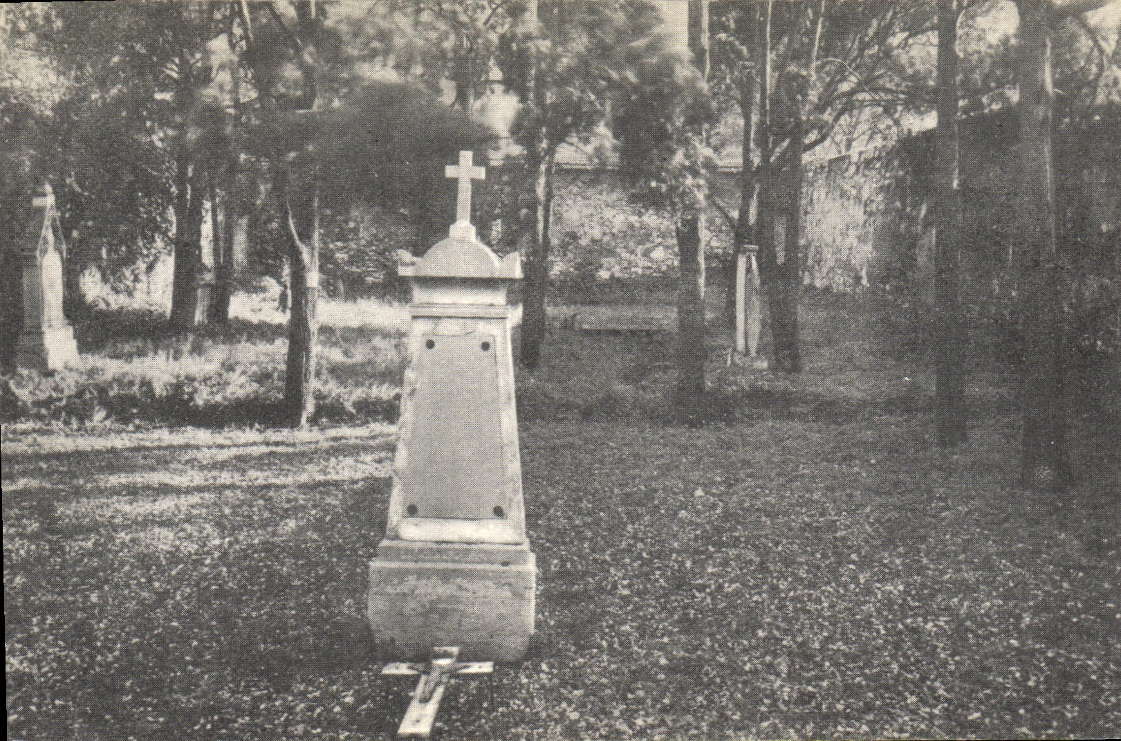 VINTAGE POSTCARD Common grave victims of the Revolution of 1793