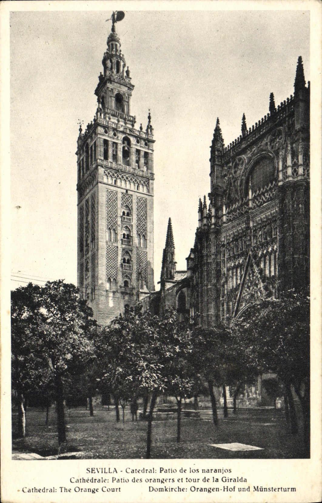 CPA Sevilla Catedral Patio de los naranjos 
