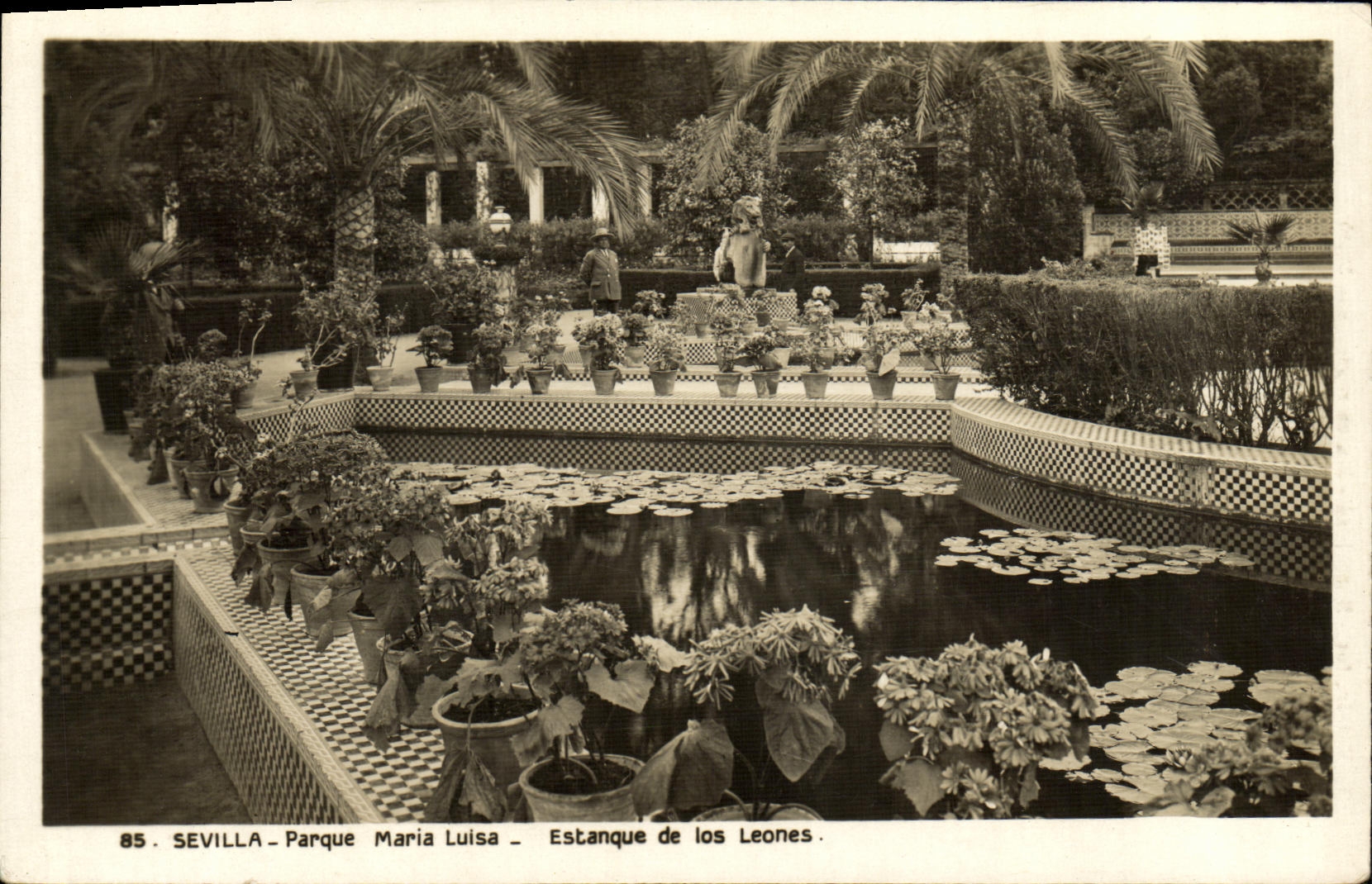 VINTAGE POSTCARD Sevilla Parks Maria Luisa Estanque de Los leones Lion